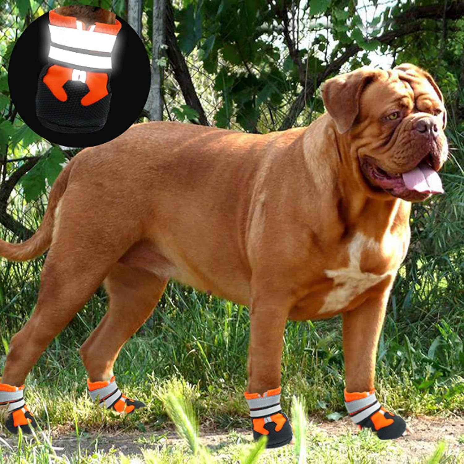ZOKBOM Dog Boots Breathable,4 Pcs Waterproof Dog Shoes with Adjustable Safe Reflective Straps, Wear-Resistant and Rugged Anti-Slip Sole Outdoor Pets Paw Protectors for Small Medium Large Dog (M) image number 5
