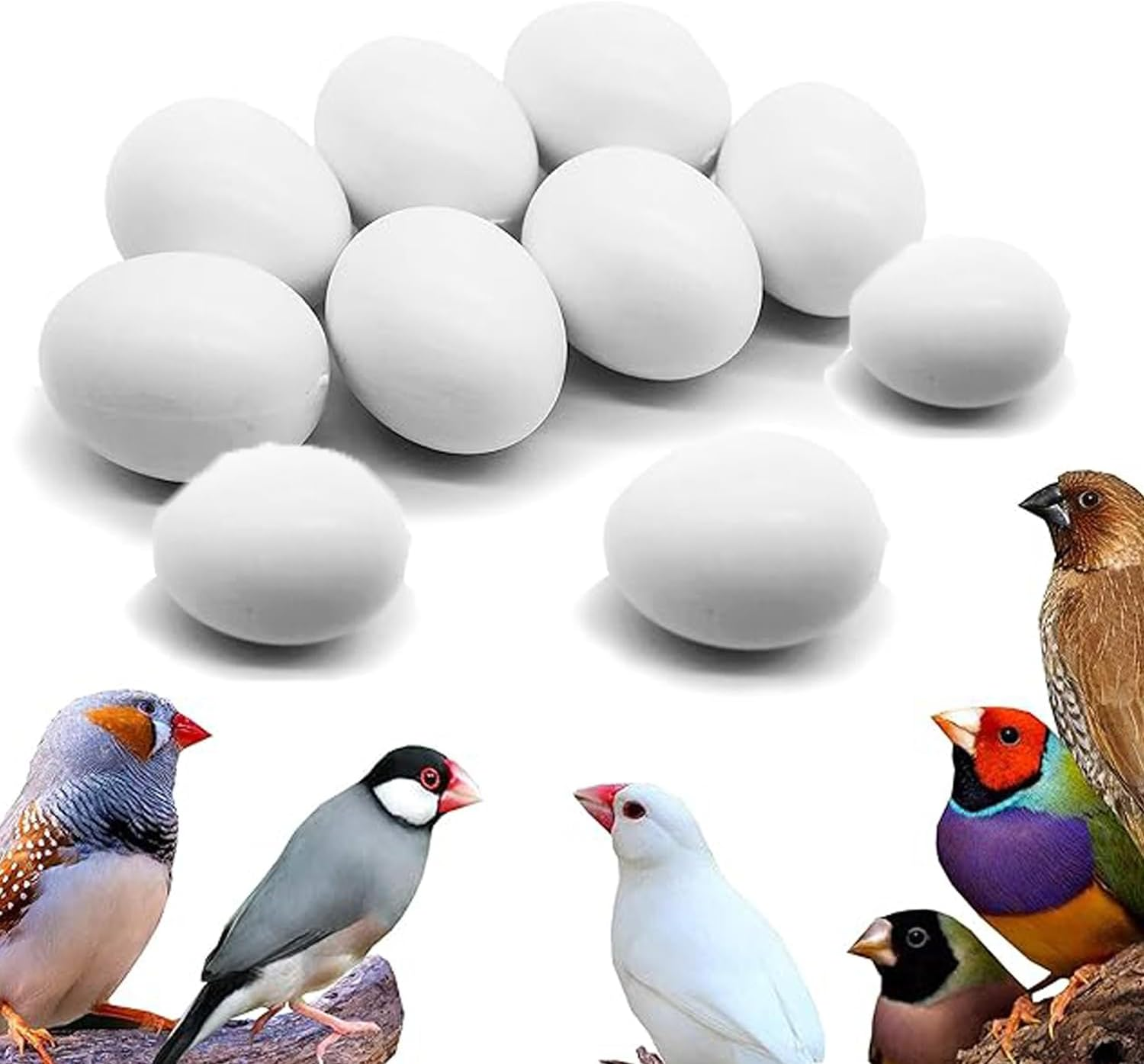 WEZCHUGHAOL 10 Fake Bird Eggs, Pigeons That Have Stopped Laying, Spotted Pigeons, Grey Parrots, and Wren Brother ，Easter Bird Eggs image number 2