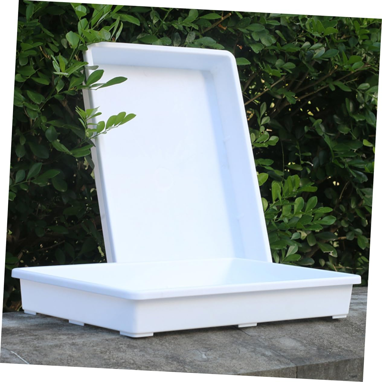 BUTIFULSIC 2Pcs Plastic Flower Pot Tray Plant Saucer Square Water Container for Indoor Outdoor Gardening Use Pots image number 6