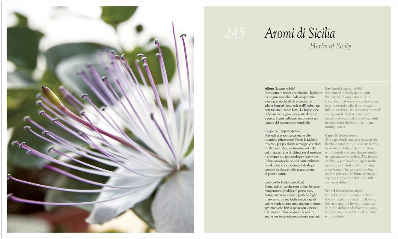 Sicilia in Cucina/The Flavours of Sicily