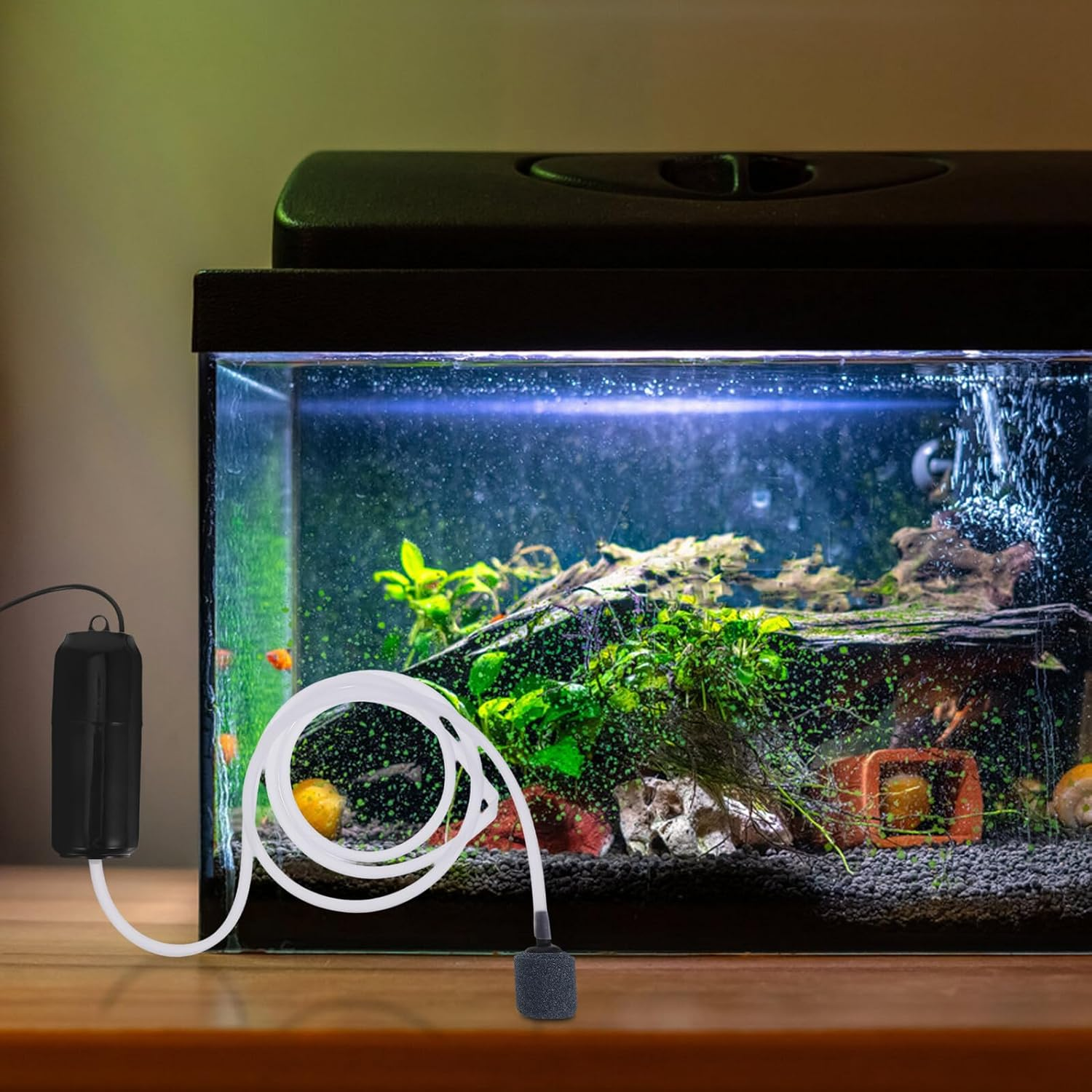 TEHAUX Silent USB Aquarium Air Pump Small Oxygen Aerator for Fish Tank Compact Air Pump with Shock-Absorbing Pad Quiet Operation for Home and Outdoor Fishing Supply image number 5