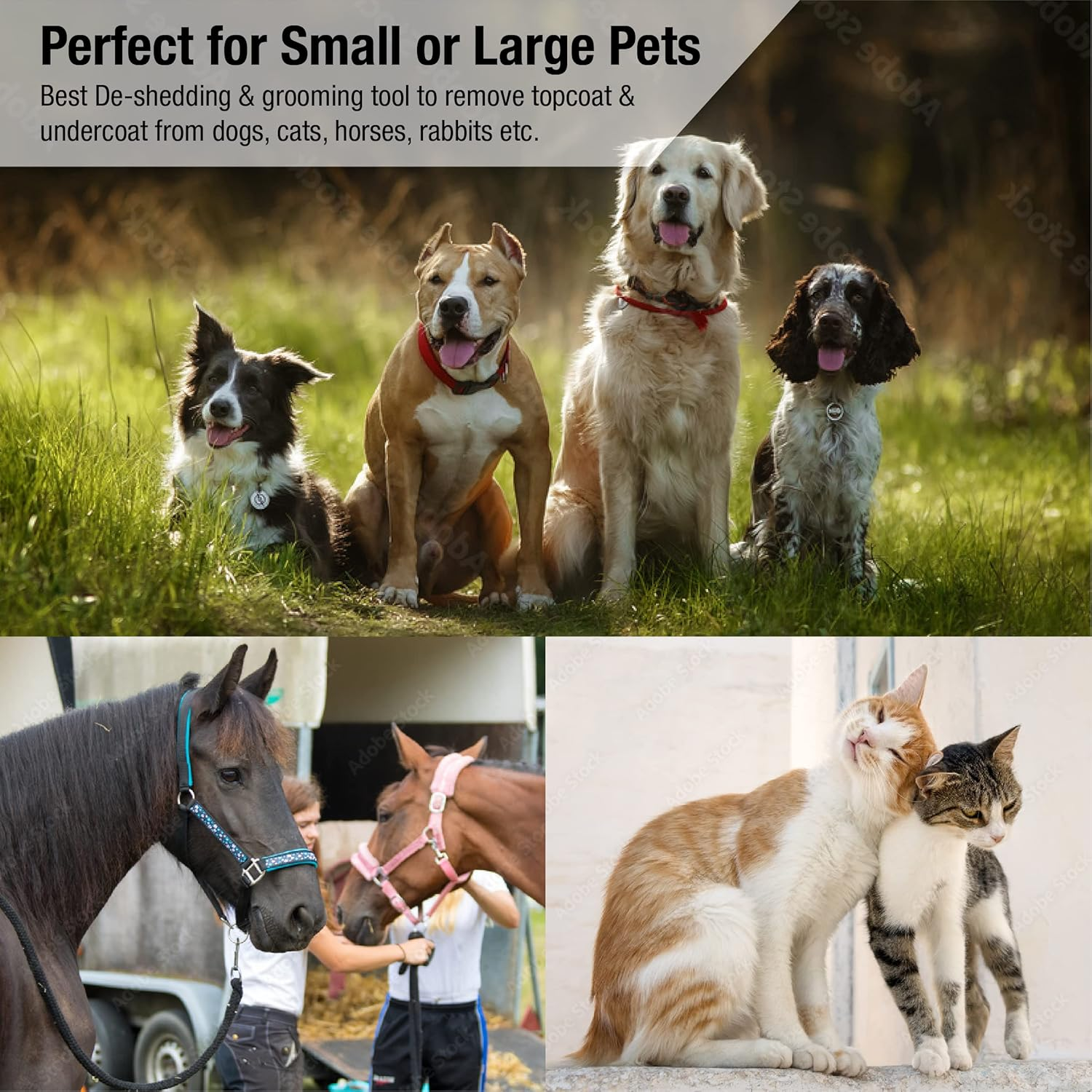 King Komb | Deshedding Tool | Top & Undercoat | Self Clean | Retractable Blades | 3 Metal Deshedding Edges | Rubber Bristles for Grooming | Large image number 6