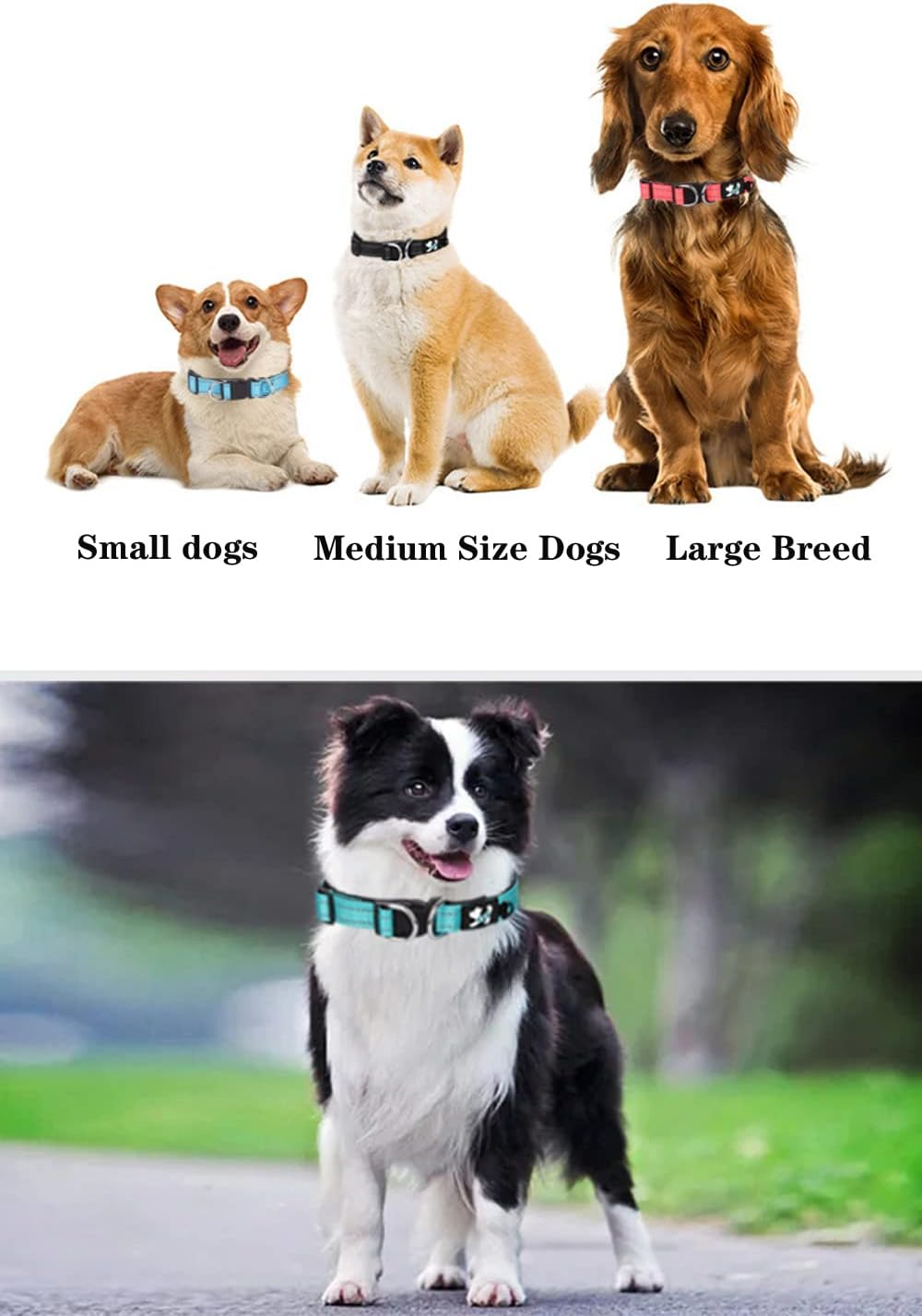 Haoyueer Padded Dog Collar Reflective Dog Collars for Small Medium Large Dogs Comfortable Soft Neoprene Adjustable Basic Dog Collars (S, Red) image number 4