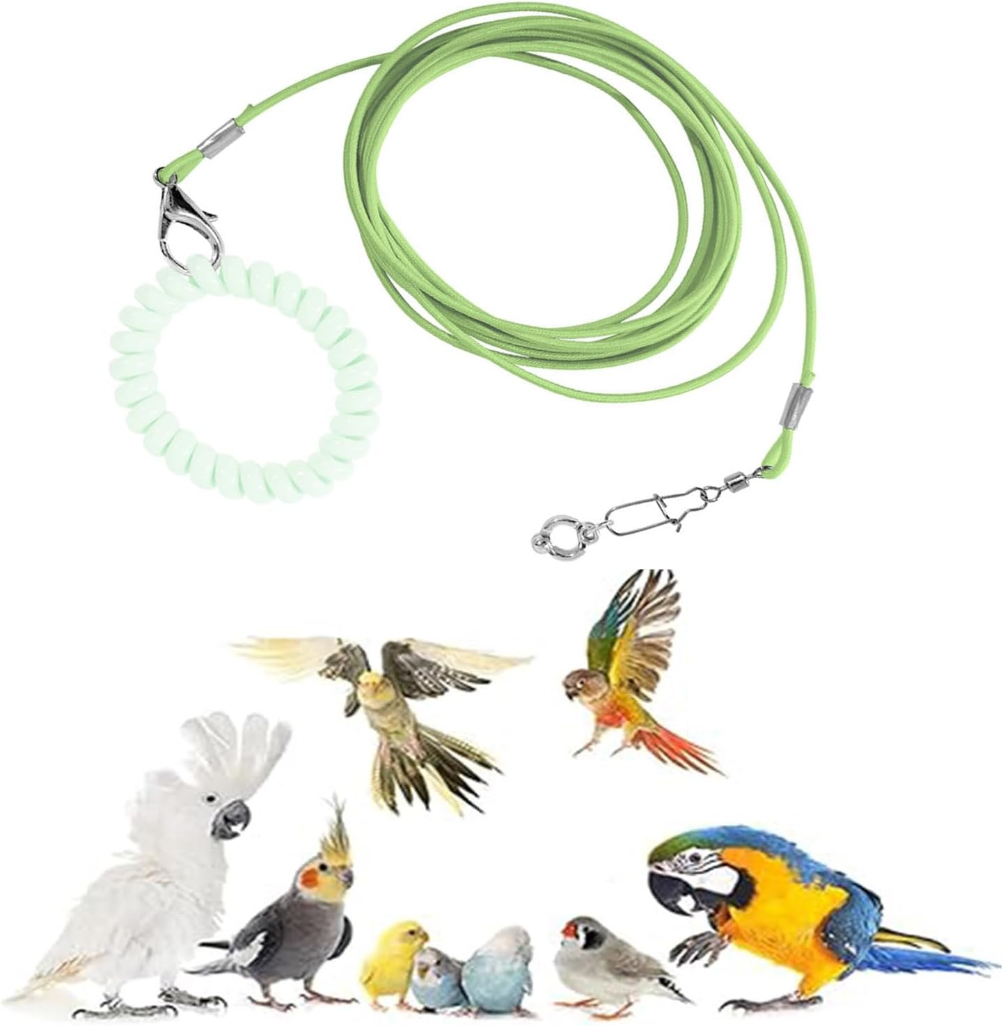 Bird Foot Chain - Adjustable Harness and Biting-Resistant Training Toy with Ankle Ring - Pet Outdoor Flying Rope for Terrace (Green) image number 3