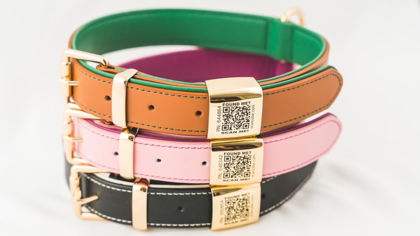 Scancollar QR Code Pet ID Genuine Leather Smart Collars with Location Tracking with Pet Online Profile, Soft Padded, Stylish, Breathable for Small Medium Large Dogs (Large, Pink & Violet) image number 3