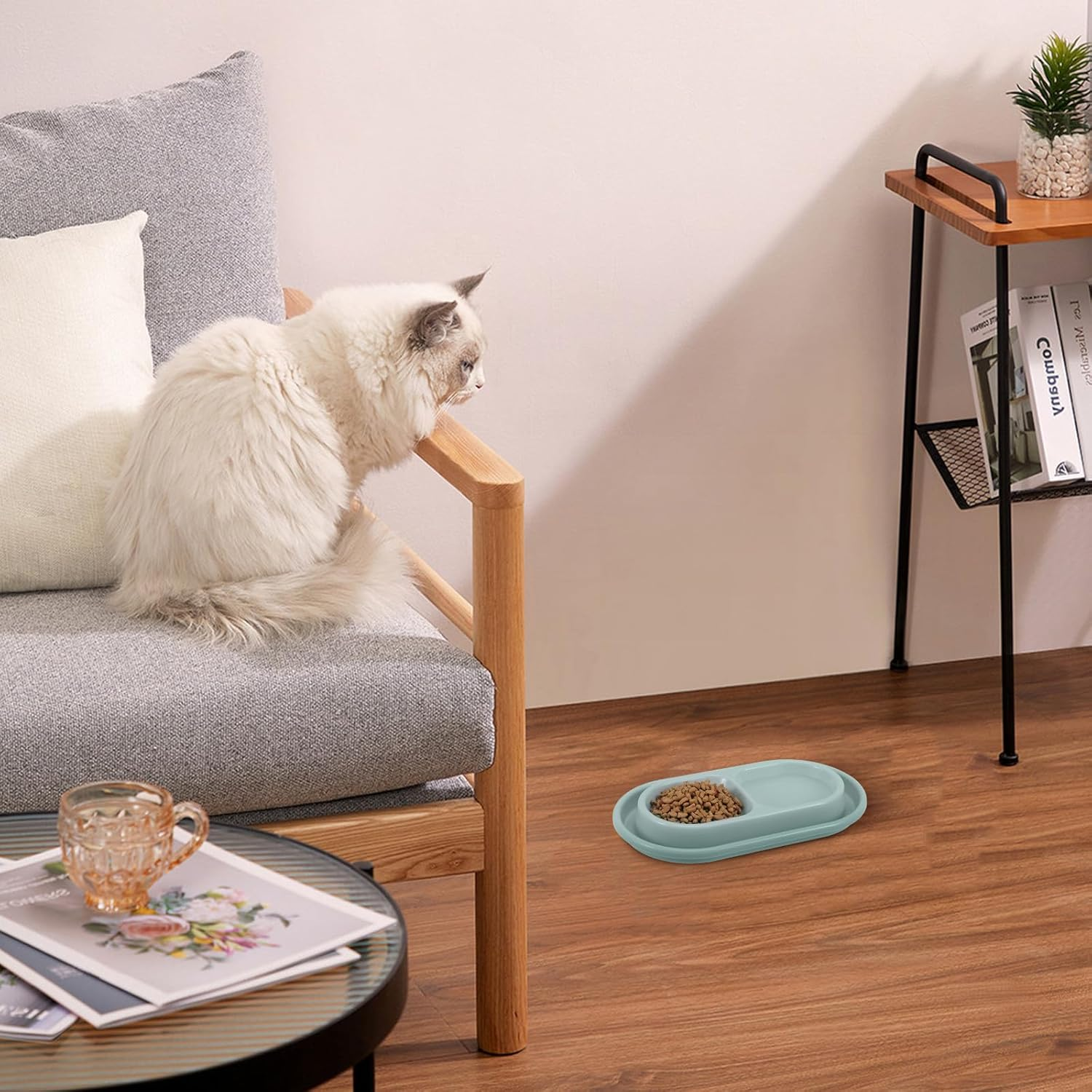 KESYOO Ant-Proof Cat Bowl with Dual Feeding Design, Non-Spill Water Moat, Grey Plastic Pet Dish for Cats and Small Dogs, Suitable for Indoor Use image number 2