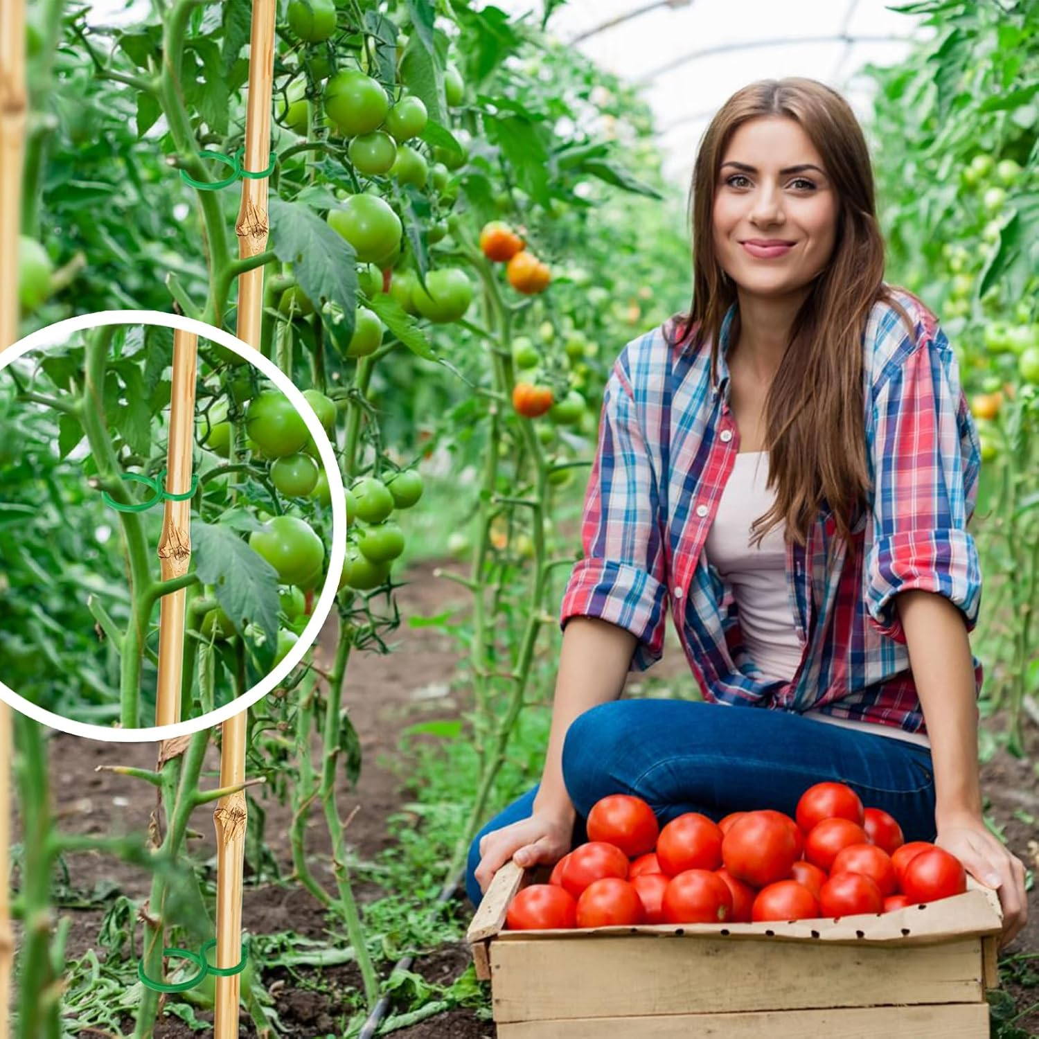 Hysagtek Pack of 200 Plant Clips for Supporting and Attaching Plants, Plant Clips, Trellis for Garden, Plants, Vegetable Fruit, Climbing Plants (Green) image number 4