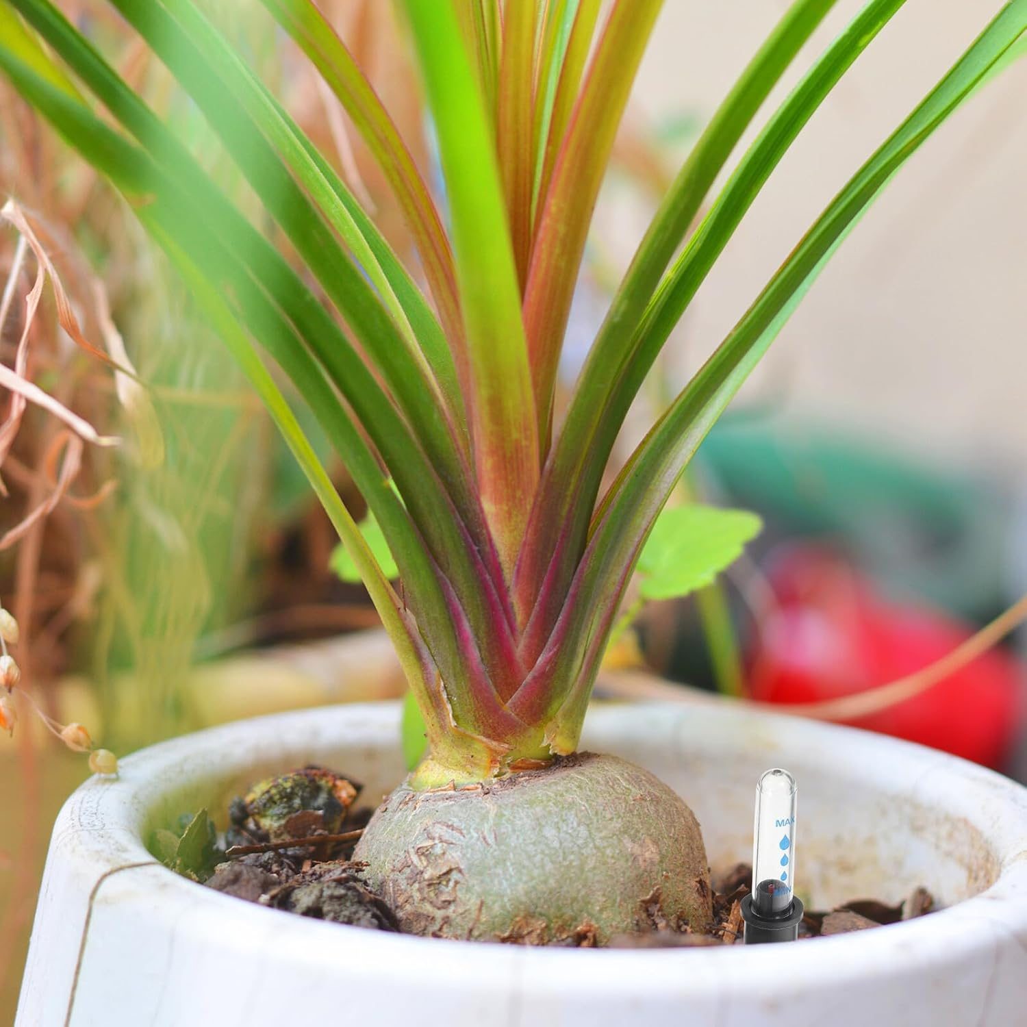 Toddmomy 4Pcs Flowerpot Water Level Indicators Plant Moisture Gauge Water Shortage Reminder for Indoor Houseplants Plastic Buoy Tank Gauge image number 2