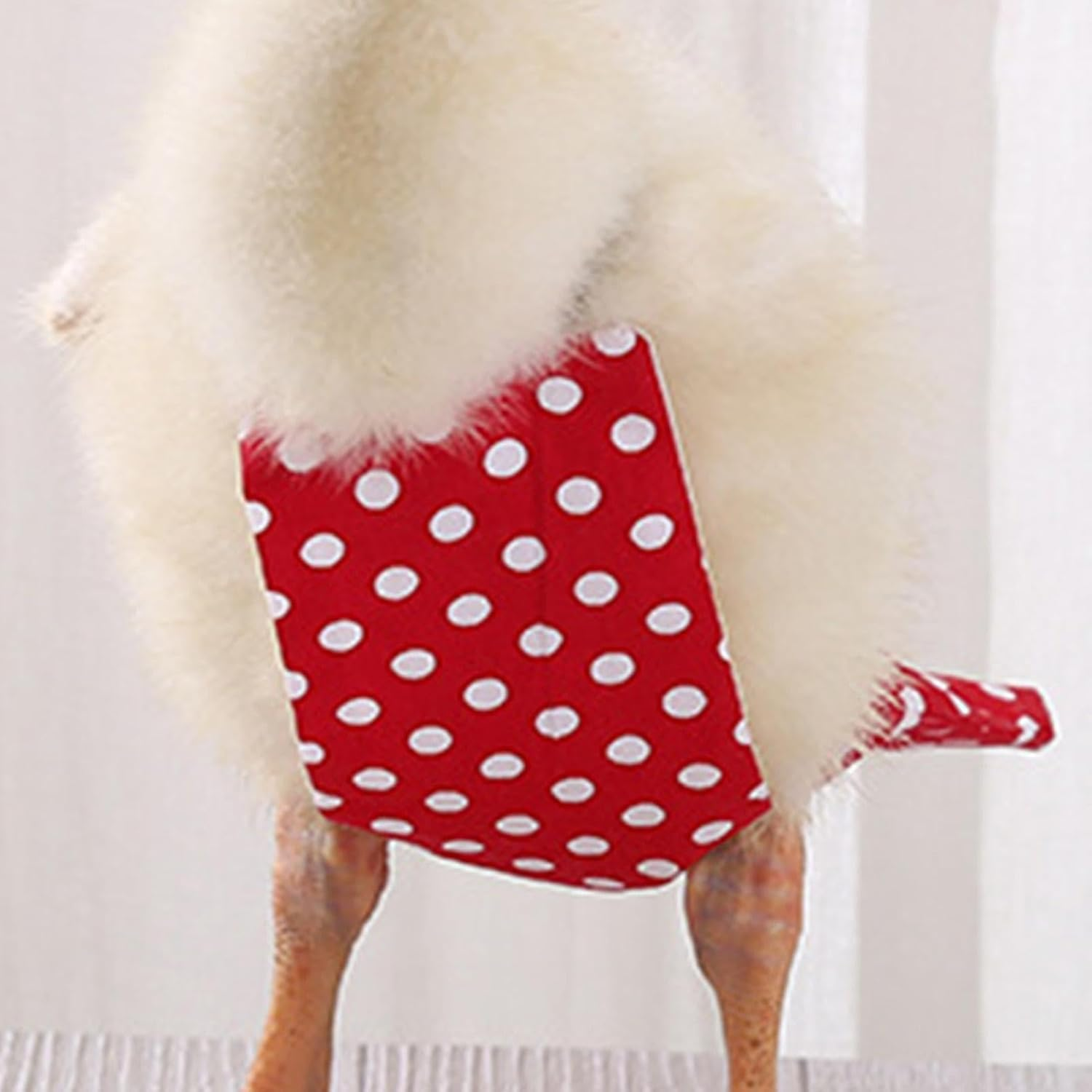 Chicken Diapers | Washable Chicken Diaper | Reusable Duck Diapers with Bow Ties, Washable Printed Fabric Pet Poultry Nappies Supplies image number 3