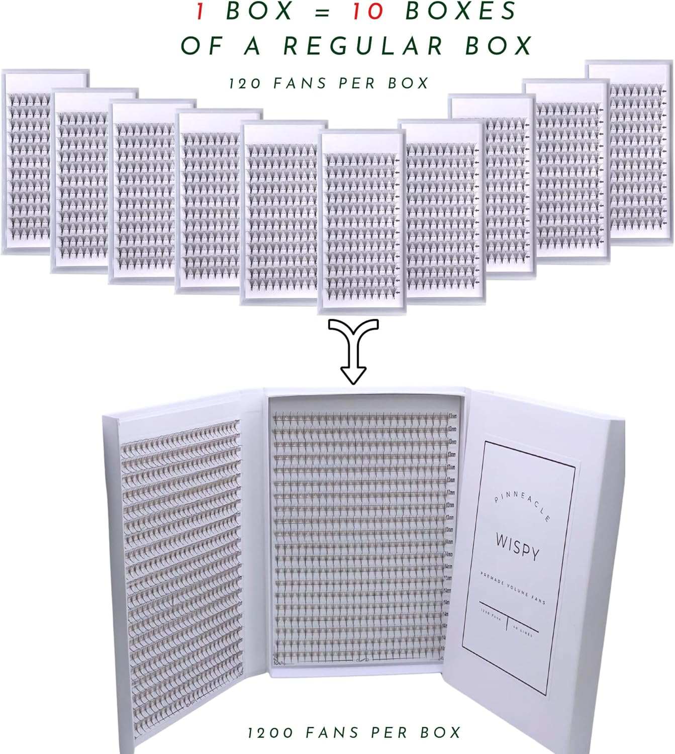 Promade Volume Fans | 1200 Fans | Premium Handmade Lashes for Professional Eyelash Extensions | Volume & Wispy Premade Fans | XXL Box - 40 Lines - 0.07 - C,CC,D,L,M Curl (Wispy 5D| D Curl | 10-13Mm) image number 3