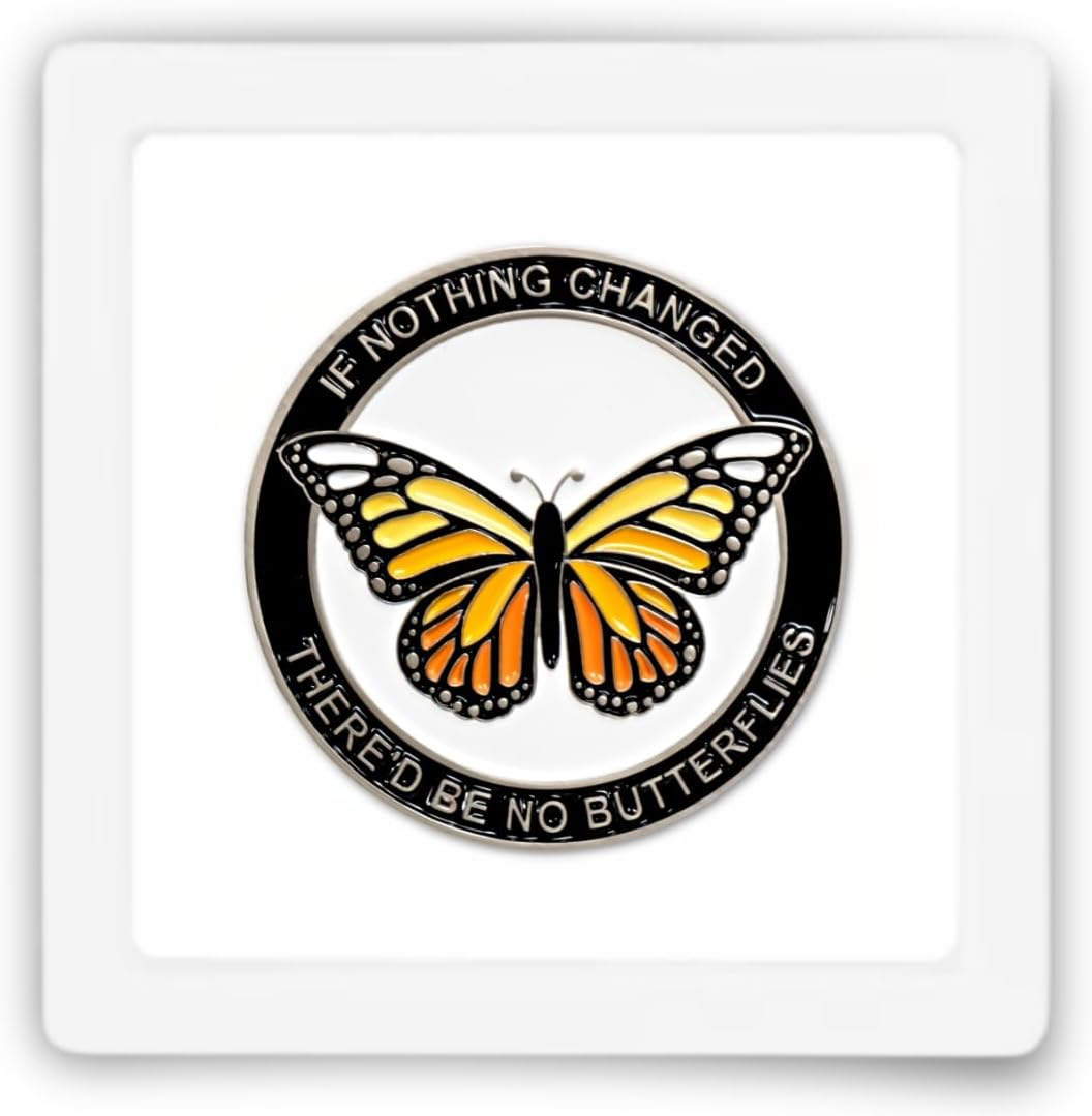 Butterfly Sobriety Coin, Sober Chip, Aa Recovery Medallion, Floating Display Frame image number 6