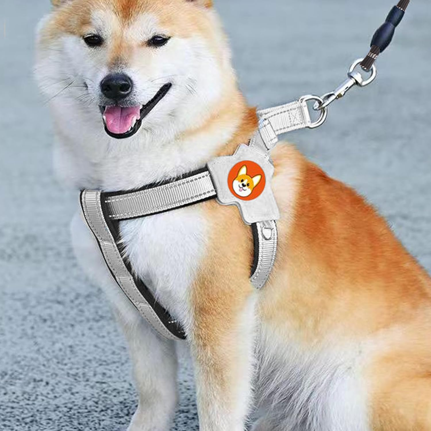 Adjustable Kitten Harness and Lead Set with Reflective Strips, Escape Proof Puppy Kitten Vest Harnesses, Cat Vest Harness and Lead Sets, for Small Medium Cats Pets Outdoor Walking Escape Proof (Black) image number 2