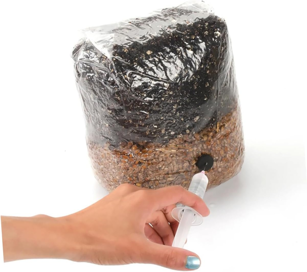 OFFSCH Mushroom Growing Bags 20Pcs Small with Sturdy Microporous Membrane for Indoor Gardening and Farm Cultivation Space-Saving Design for Home Greenhouse Use image number 5