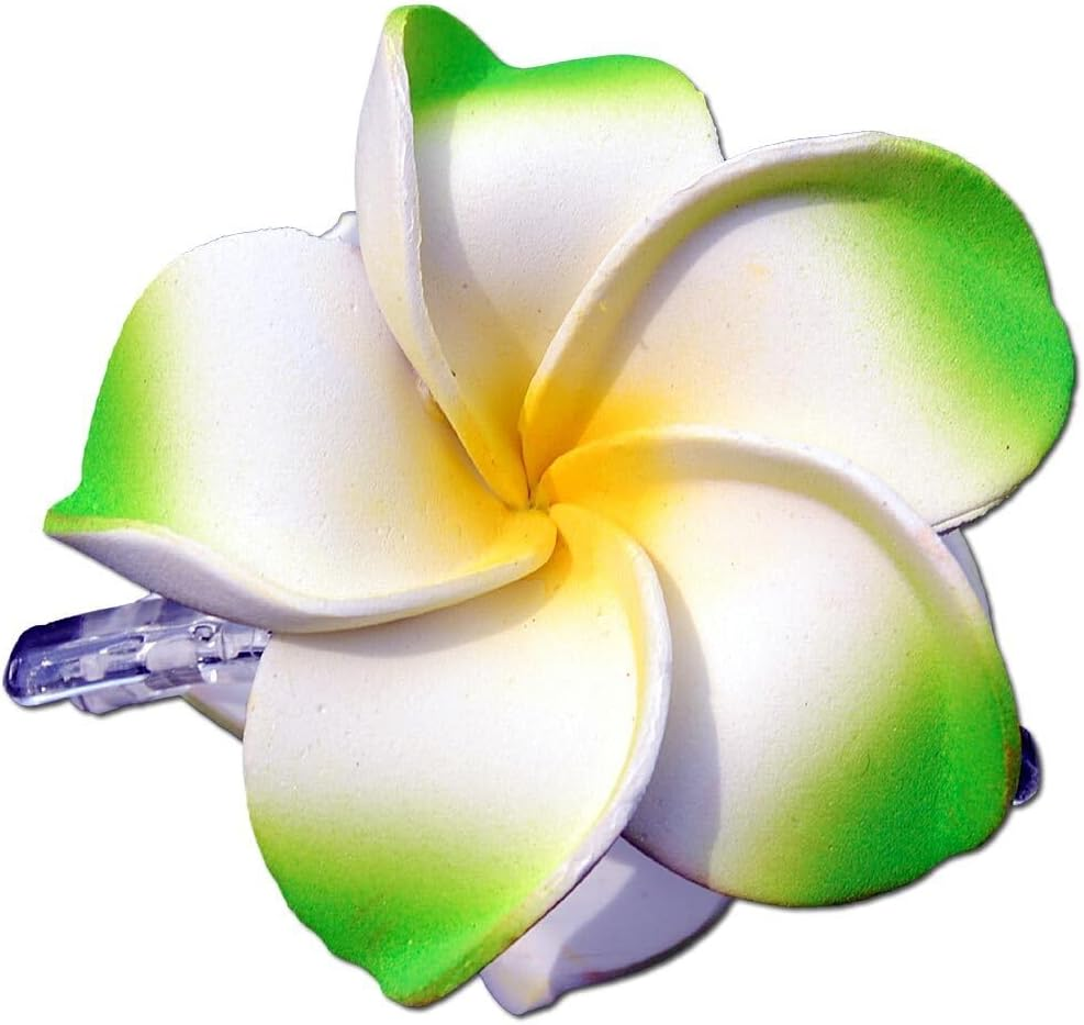 SEESTERN Bali Hawaii Hair Clip 2 Frangipani Flowers Made of Foam Rubber Hair Clip FBA_1301 Green