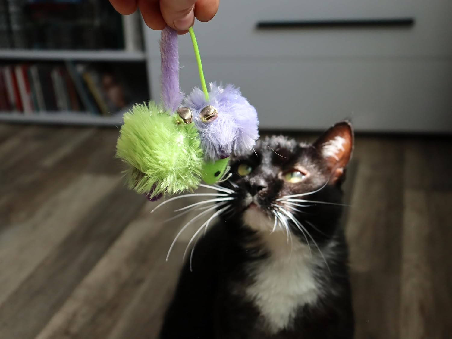 Dingo Party Cat Toy Set: 2 Fluffy Fabric Mice with Bells for Playing and Hunting. Lightweight Pet Toys in Green and Purple (21194) image number 1