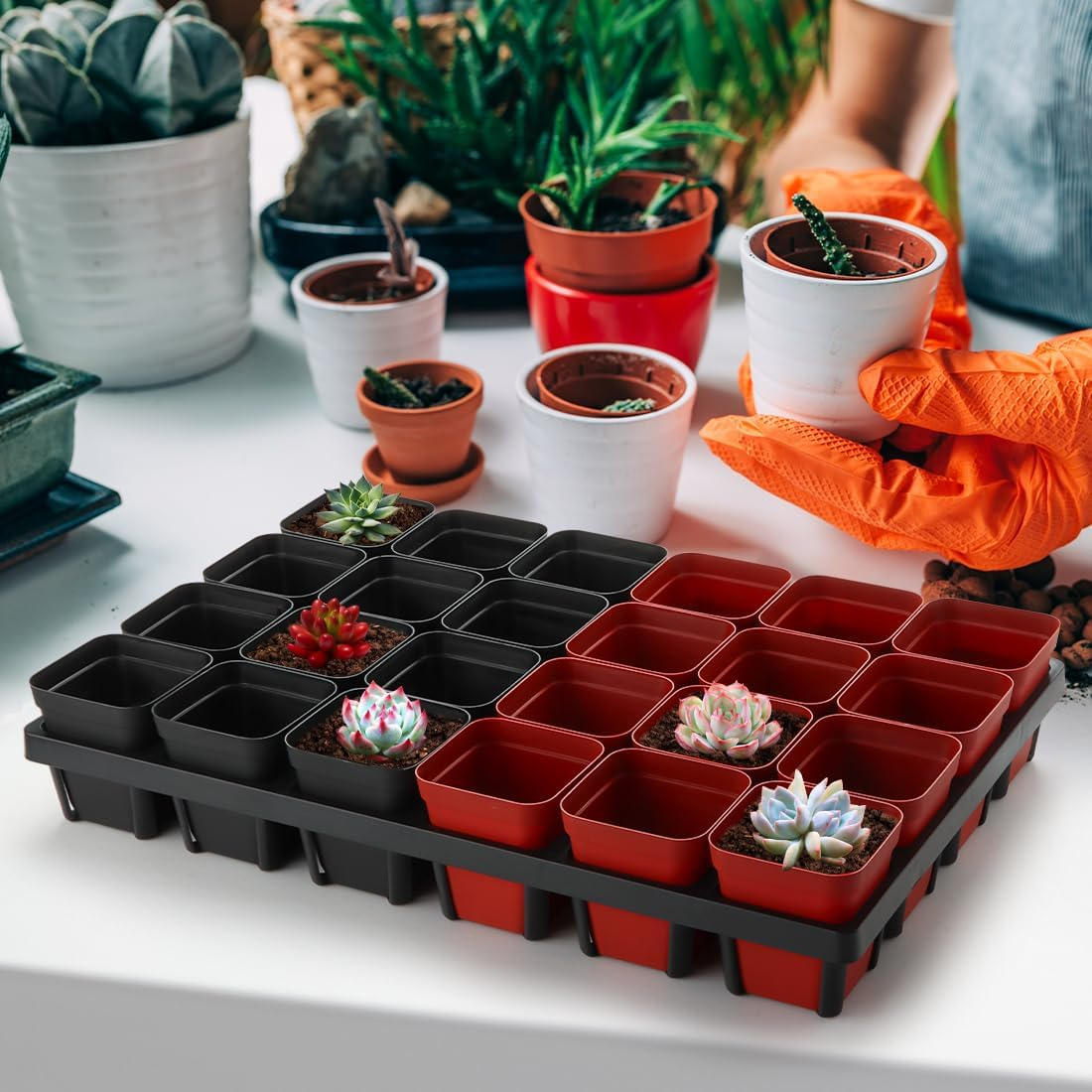 Grow-Green 5 Pack Flowerpot Moving Tray for Pots,24 Cell Plastic Containers for Moving POTS and Trays,Accompanying Square Nursery Pot Is Used for Indoor Gardening, Black (CT2407) image number 3