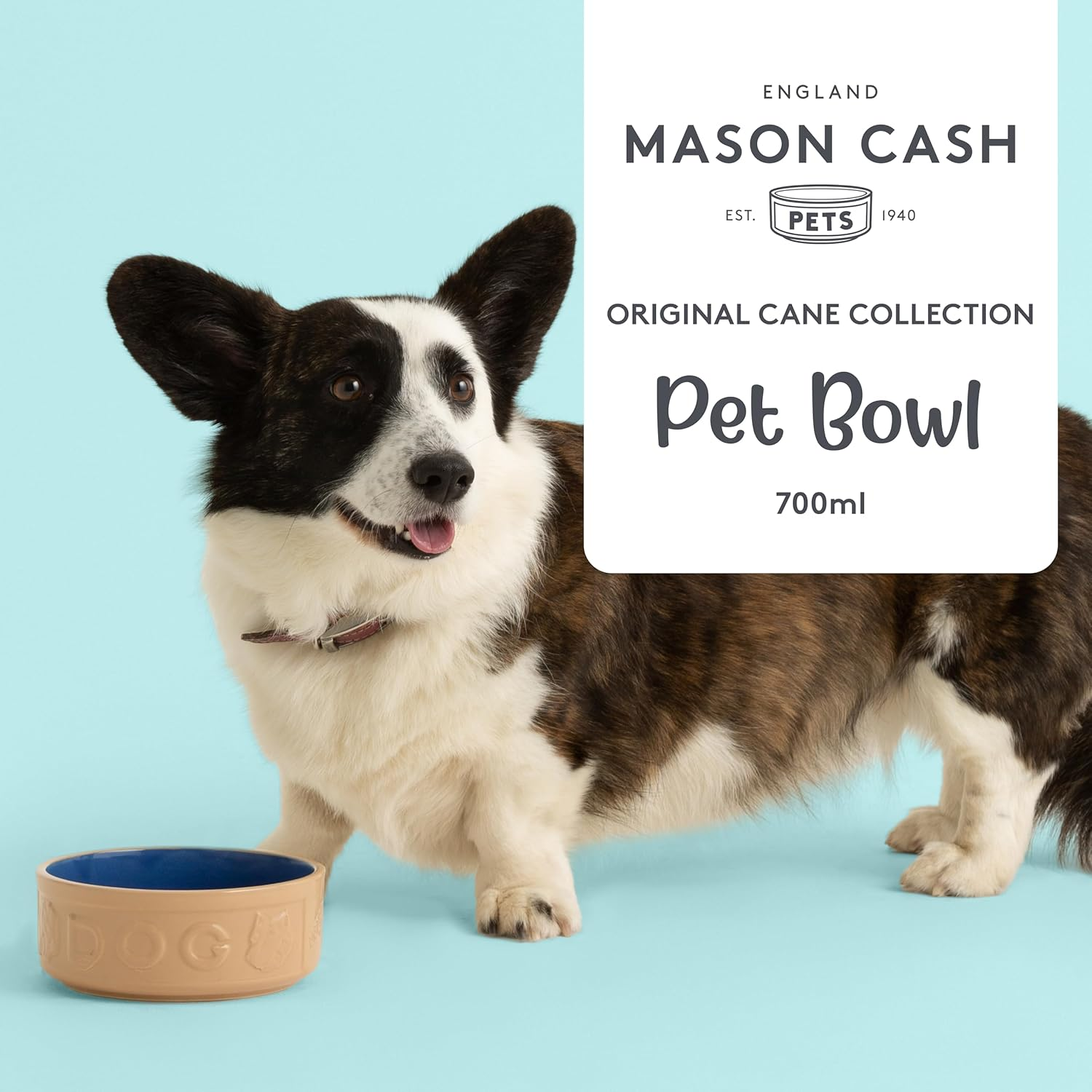 Mason Cash Lettered Dog Bowl Cane, 6-Inch