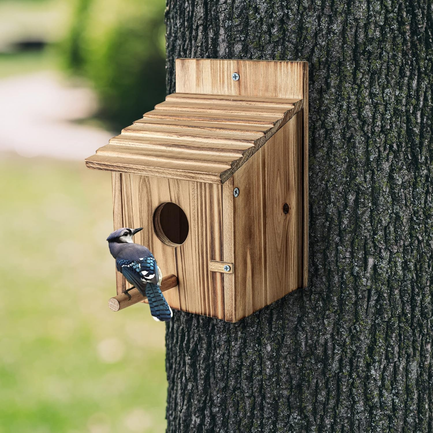 QYINXIU Bird Houses, Wood Bird House for outside with Pole for Finch, Bluebird, Cardinals, Hanging Birdhouse Garden Country Cottages Bird Box House image number 2