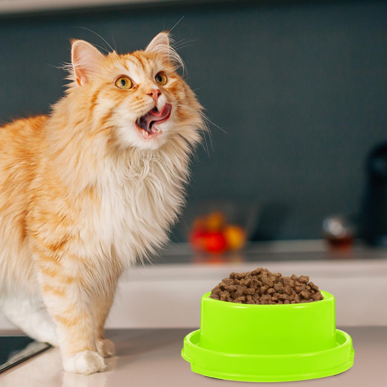 Ipetboom Ants Away Dog Bowl, Plastic Cat Puppy Food Bowls round Pet Food Dish, Ant Proof No Spill Water Feeding Eating Dishs for Small Animals, Green - Yellow image number 7