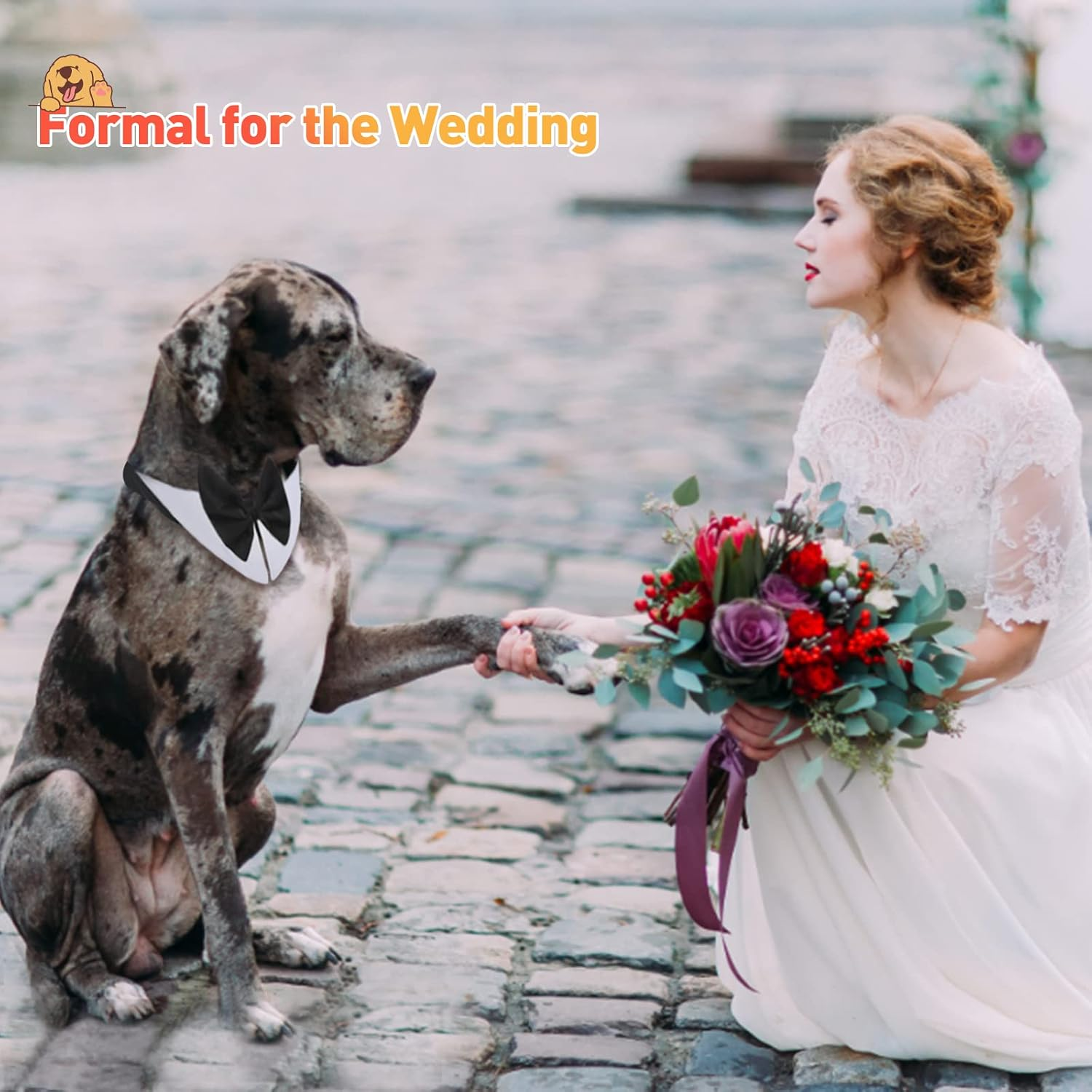 HACRAHO Formal Dog Bowtie Collar, White, X-Large, Cotton, Adjustable, 29-31 Inches, Wedding, Party, Accessory image number 6