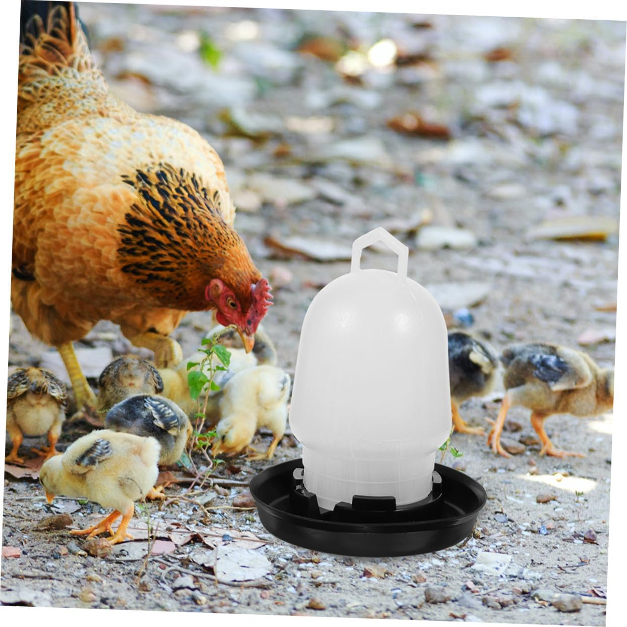 Alasum 2Pcs Automatic Poultry Waterer Chicken Water Dispenser Cups for Chickens Ducks Quail Pigeons Outdoor Use Farm and Home image number 2