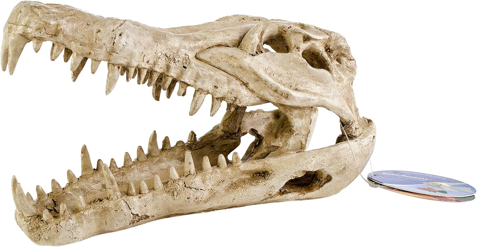Penn-Plax RR1065 Crocodile Skull Animal Resin Ornament for Fish Tanks 9L X 4W X 5.5H