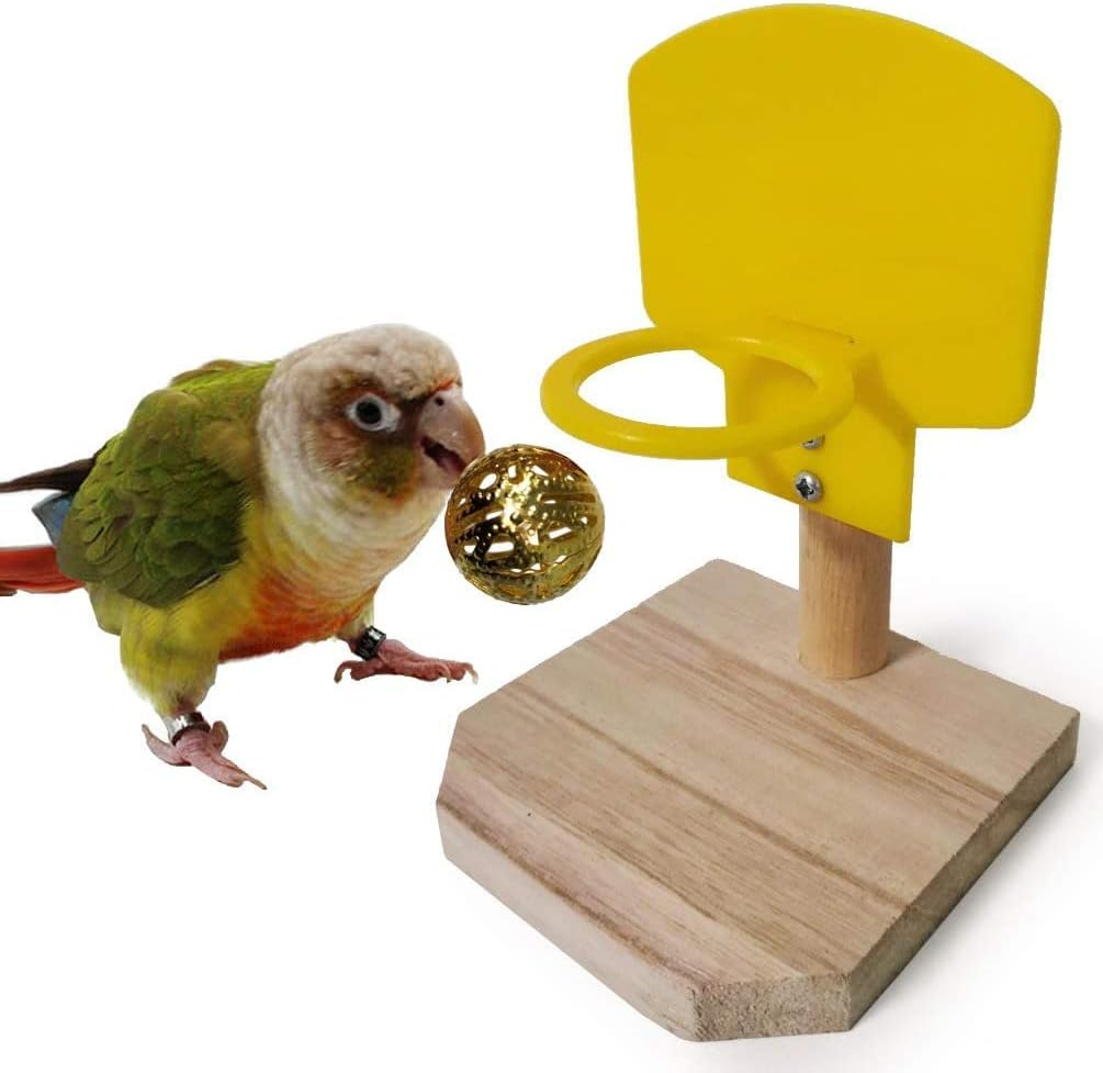 Litewoo Bird Parrot Intelligence Toys Mini Training Skateboard for Budgies Parakeet Cockatiel Lovebird Conure Small and Medium Bird Funny Cute Perch Toy