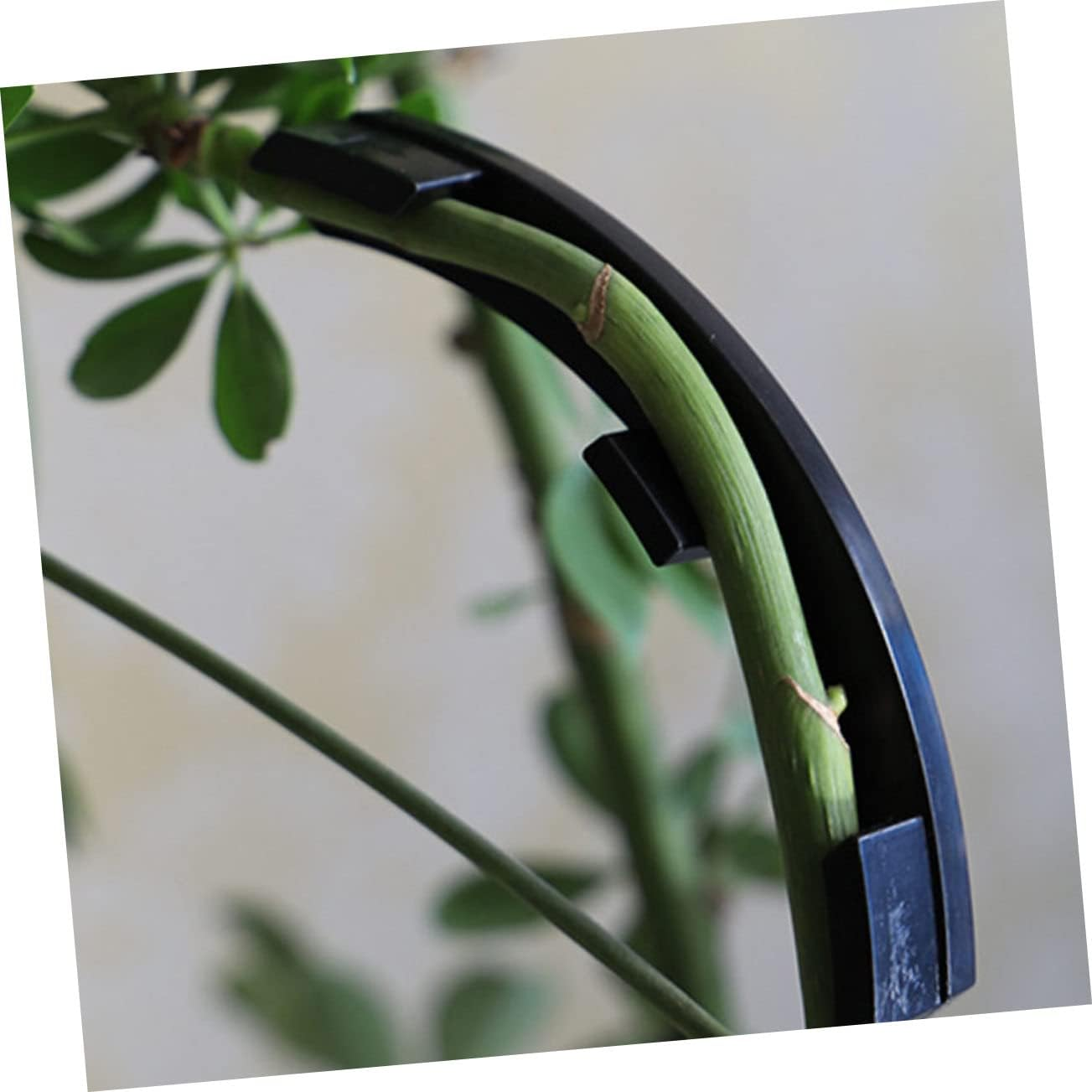 KONTONTY 20Pcs Branch Bending Shaper Plastic Plant Clips Gardening Clamps for Fruit Trees Flower Staking Easy to Use