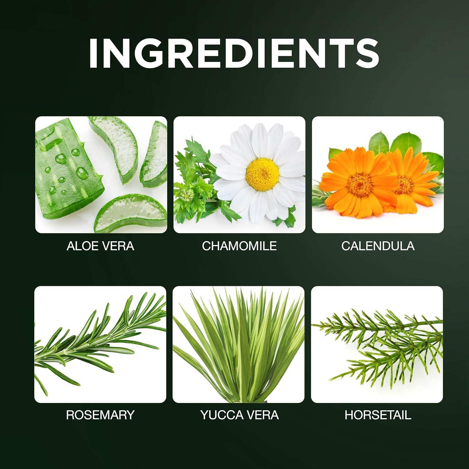 Clubman Beard & Body Wash, 14.5 Fluid Ounce image number 4