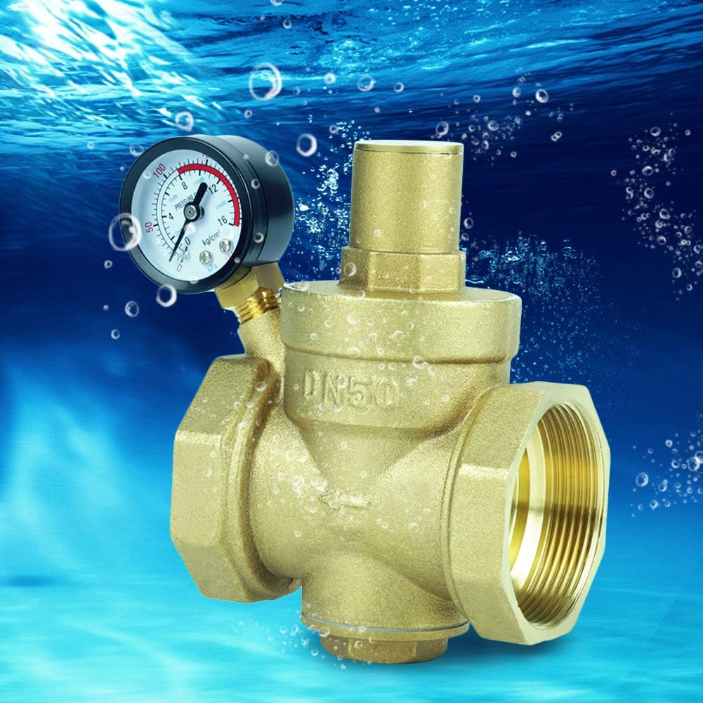 Tyenaza DN50 Water Pressure Regulator Valve, Adjustable Water Pressure Reducer with Gauge Meter for RV, and Inlet Screened Filter image number 2