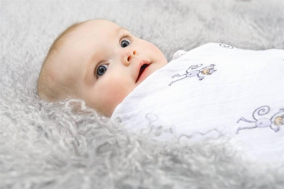 Aden + Anais Jungle Jam Classic Muslin Swaddles 4 Pack image number 2