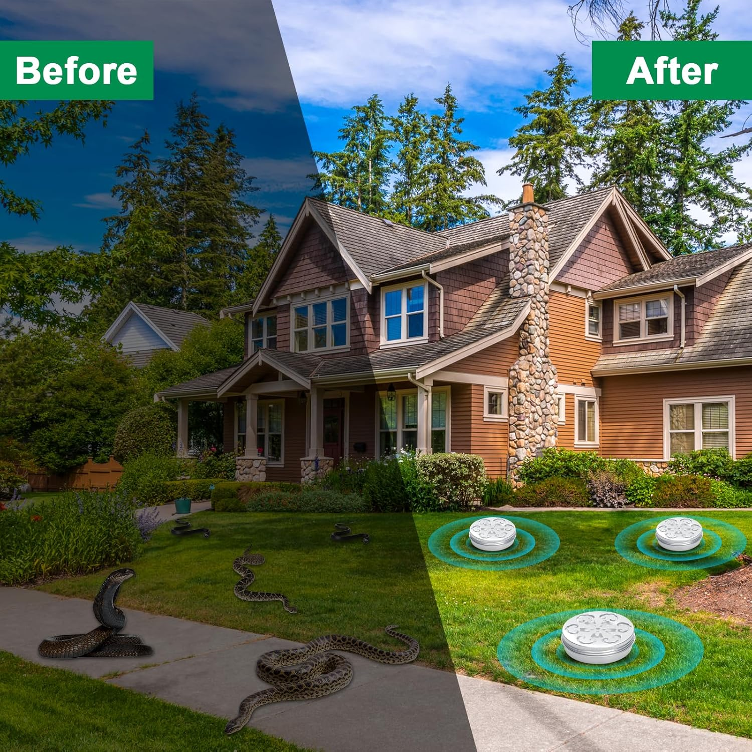 Snake Repellent for Yard Powerful, 4 Pack Snake Away Repellent for Outdoor Indoor, Pet Safe Snake Repellent for House Yard Garden Porch Garage Camping image number 4