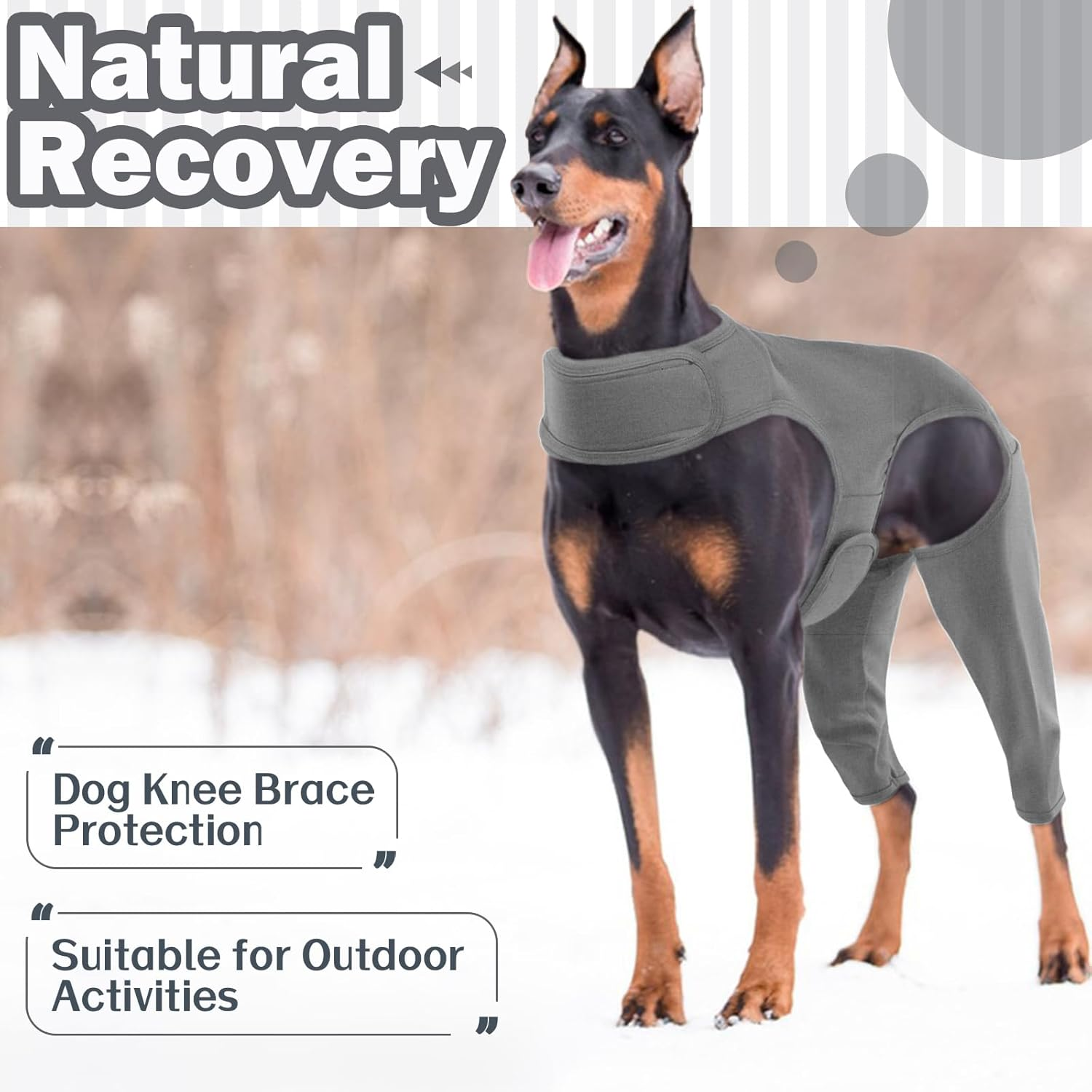 Hjyokuso Recovery Suit for Dogs, Dog Surgery Suit, Dog Leg Surgery Recovery Suit, Lick Sleeve for Dogs Rear Leg, Dog Elbow Protector, Dog Sleeve to Prevent Licking Bite, Avoids Wound Infection - M image number 6