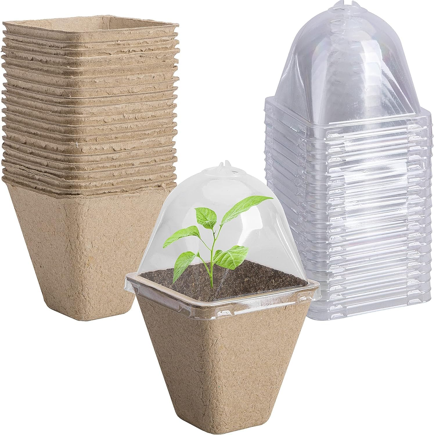 20-Pack Biodegradable Nursery Pots with Humidity Dome - 6Cm Square Seed Starter Pots for Plants, Flowers, Vegetables - Eco-Friendly Peat Pots for Seedlings Germination image number 6