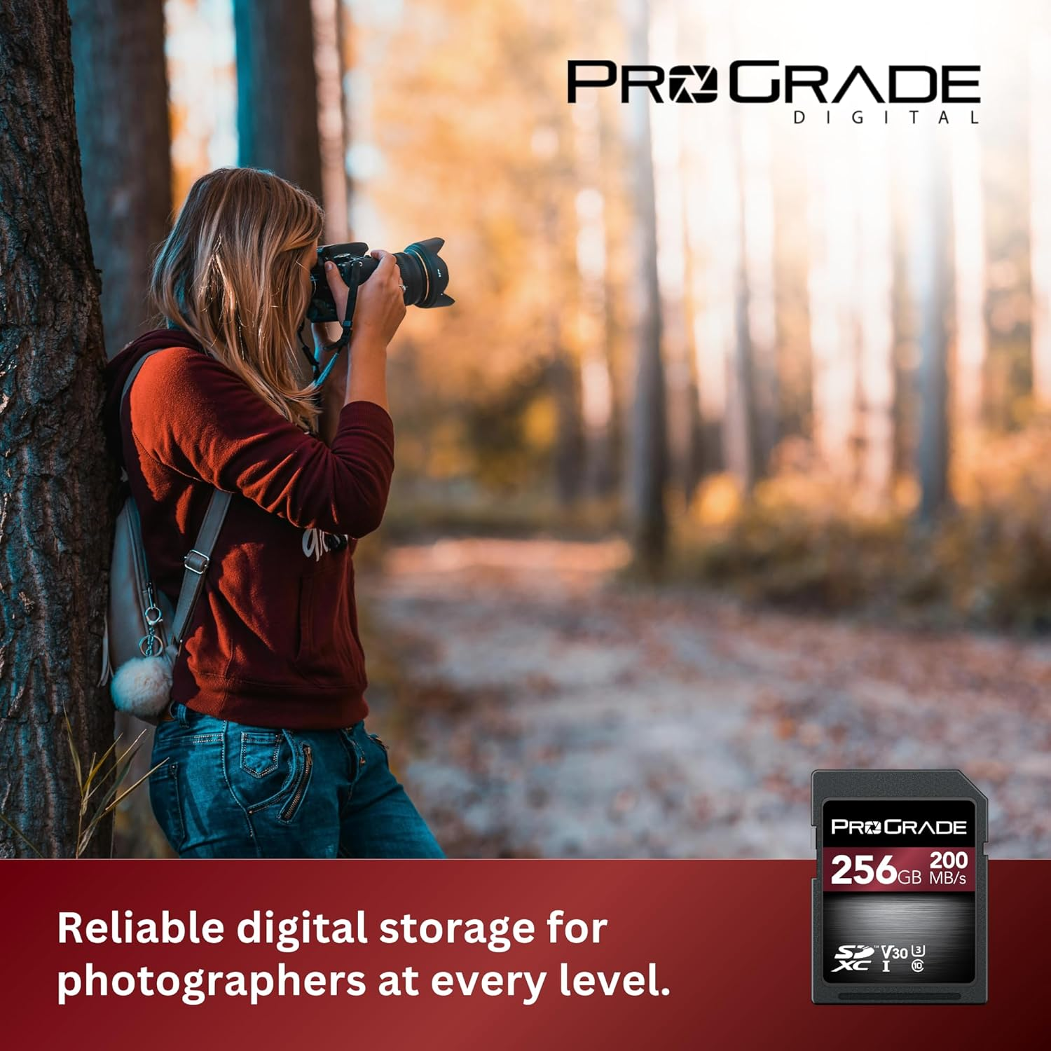 Prograde Digital SD UHS-I (256GB) Card V30 &ndash; up to 200Mb/S Read Speed | for Professional Vloggers, Filmmakers, Photographers & Content Curators image number 2