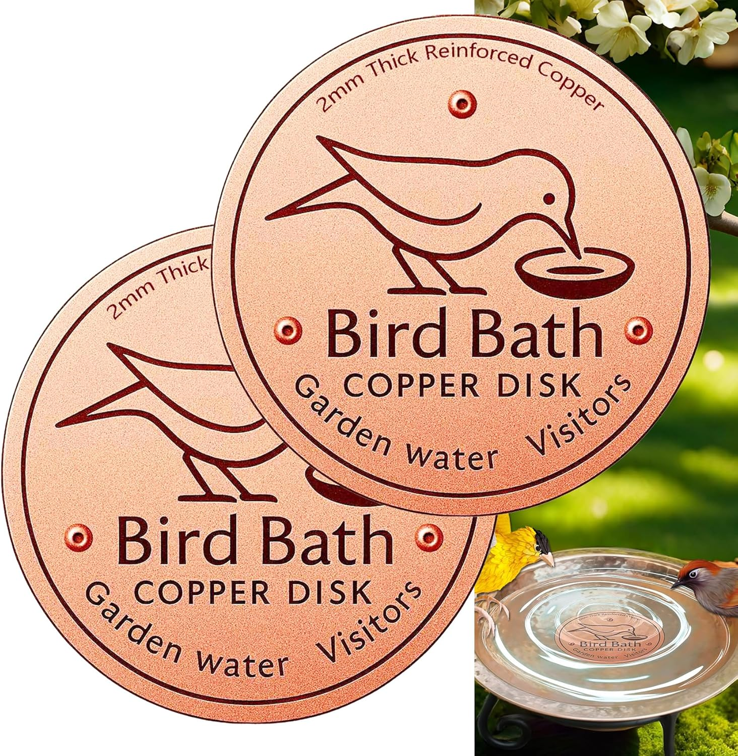 YANXIN1E 2PACKS 2025 Latest Copper Disk for Bird Bath: Copper Disc for Bird Bath Purification Plate Discs for Chicken Water Cleaning Keeps the Birdbath Clean Small Pure round Fountain Disco (2-Packs) image number 6