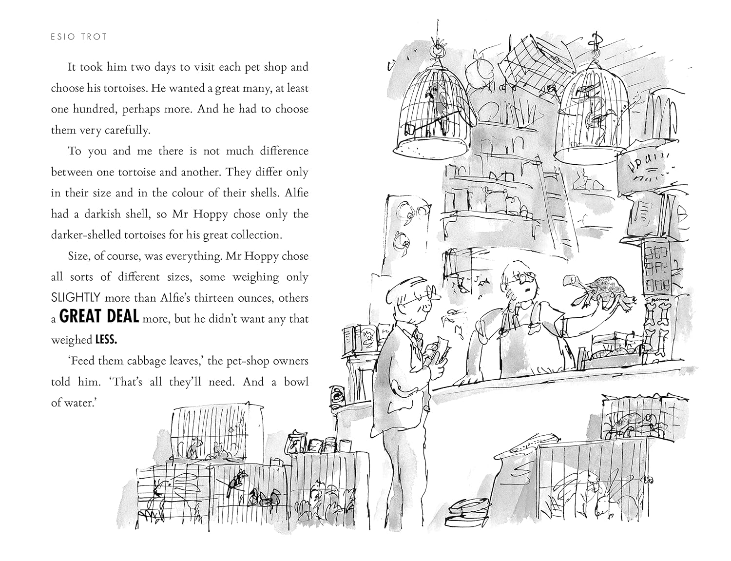 Esio Trot image number 4