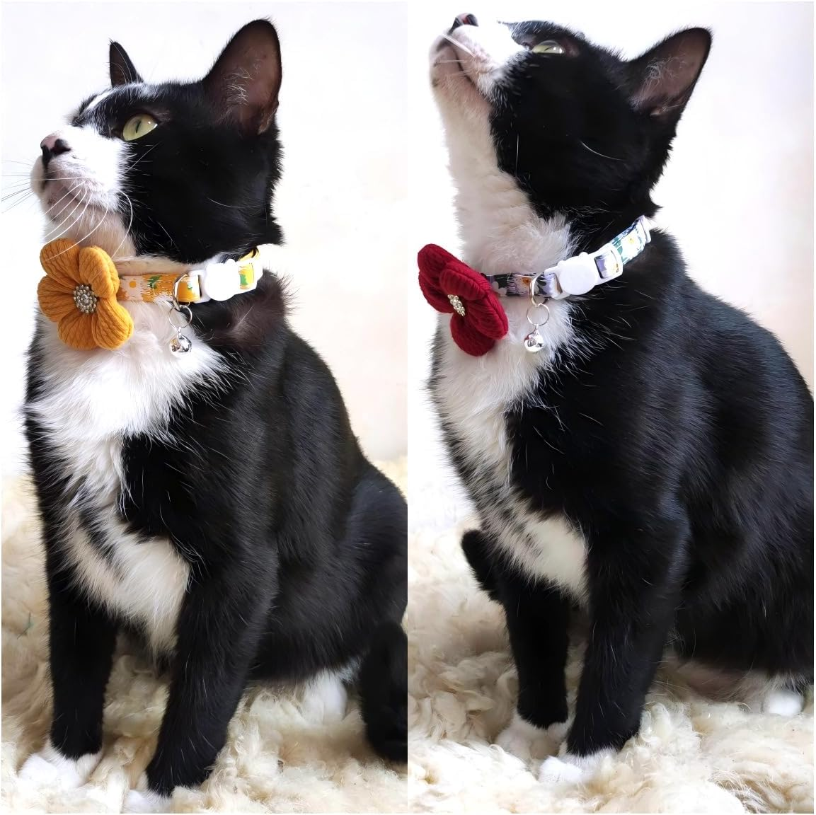 Small Dog Collar with Flower, Puppy Collar for Dog Collars for Small Dogs Cute Dog Collar with Bell, Adjustable Length (Pink, One Size) image number 3