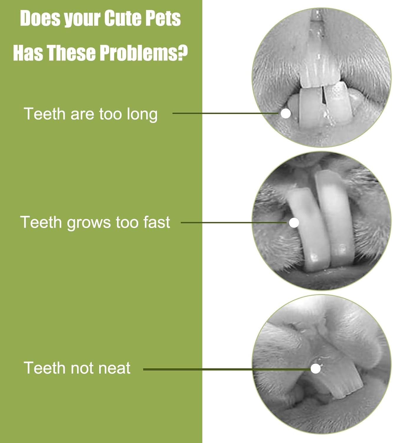 20PCS Rabbit Toys Bunny Chews Timothy Hay Stick,Bunny Toys for Rabbits, Hamster Guinea Pig Small Animal Chew Toys,Pet Chew Toy Treats for Chinchilla Guinea Pigs Rabbits Squirrel Hamster Bunny image number 3