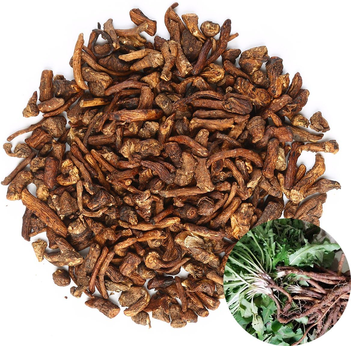 Tooget Dandelion Root - Cut & Sifted, Natural Dried Dandelion Root Loose Tea Wholesale - 8 OZ image number 2