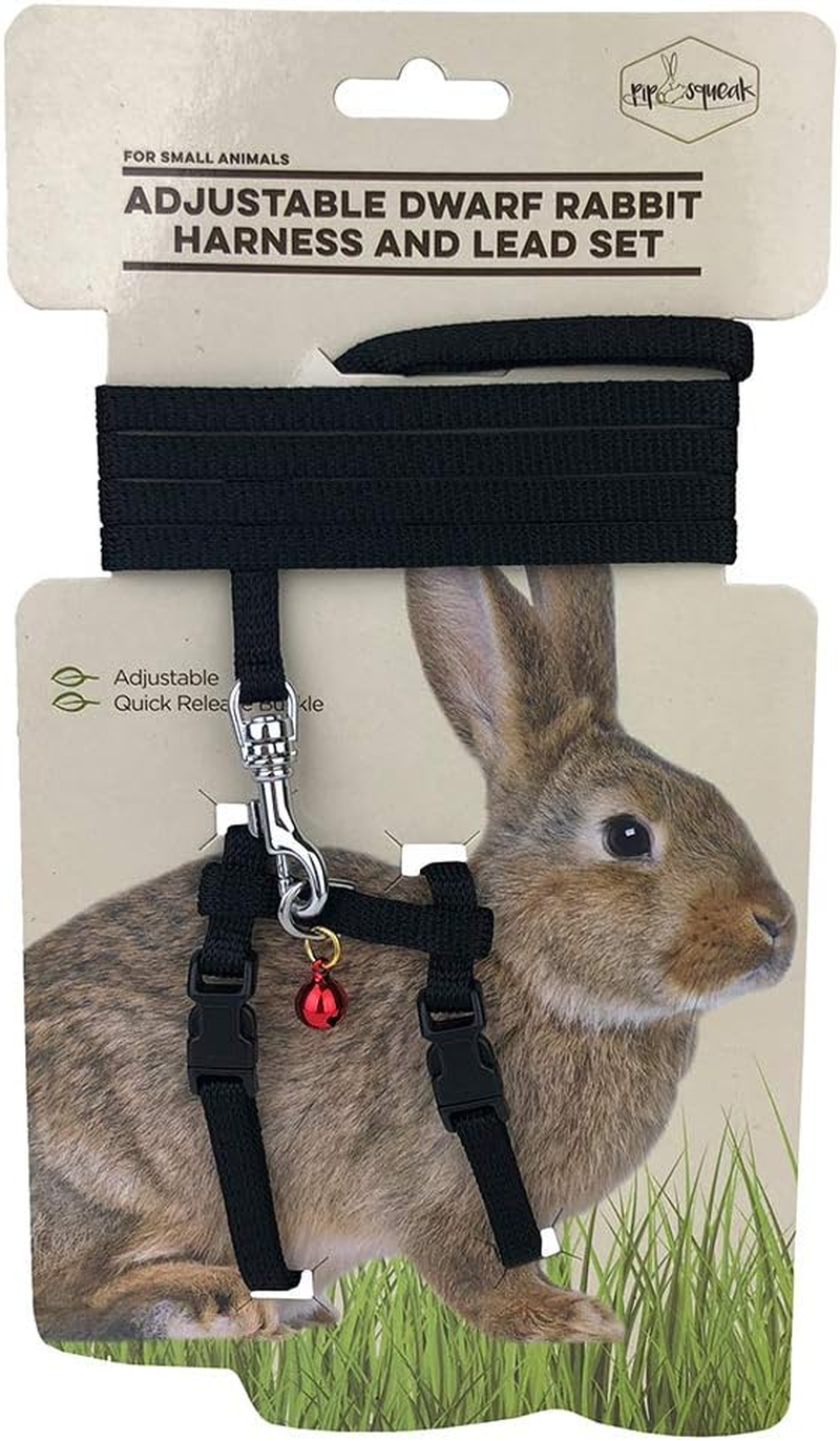 Small Animal Care Harness and Lead Set for Rabbit, Black