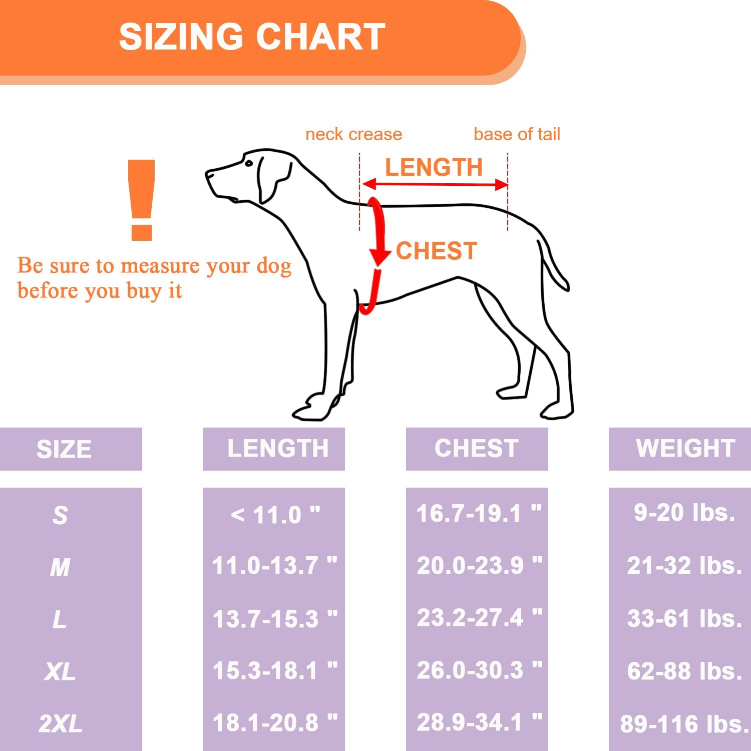 Coodeo Dog Back Brace for Dogs Arthritis, Pet Back Bracer for IVDD, Back Protector Helps Pain Relief, Surgical Recovery and Rehabilitation, Dogs Back Disease Prevention. (Blue,Xx-Large) image number 4