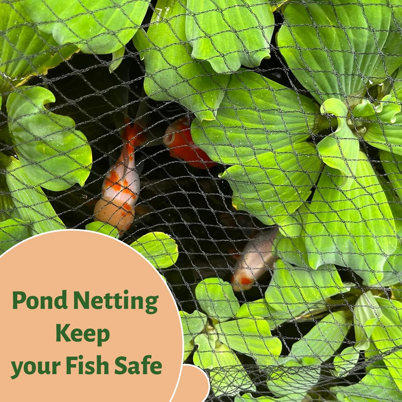 Garden Netting,Bird Netting for Garden,Garden Mesh Netting,Bird Netting for Fruit Trees,Netting for Blueberry Bushes,Bird Net,Nylon Netting for Garden,Pond Netting,Pond Netting,Vegetable Netting image number 5