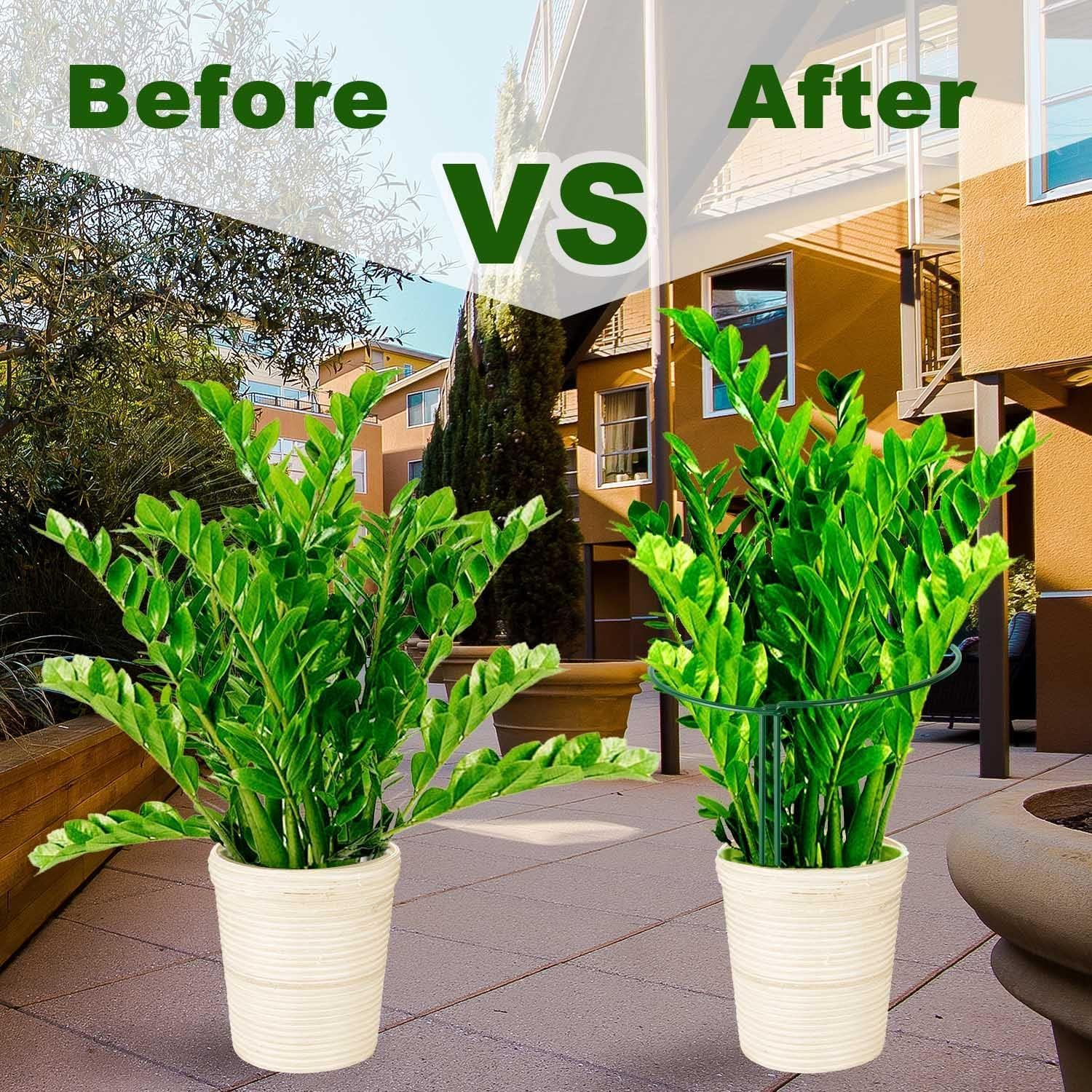 Pack Plant Support Stakes, Metal Peony Cages and Supports, Outdoor Garden Stakes Plant Cage, Large Plant Support Rings for Tomato,Rose,Flowers Vine,Indoor Tall Plants（5Pc）