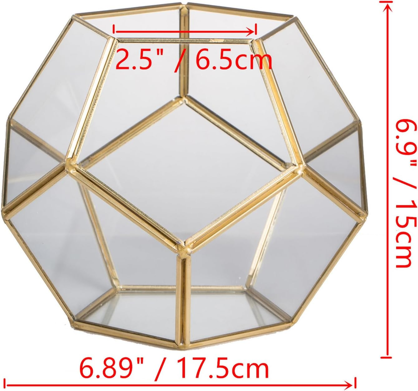 NCYP Brass Glass Pentagon Regular Dodecahedron Geometric Terrarium Container Desktop Planter for Succulent Fern Moss Air Plants Holder Miniature Outdoor Fairy Garden (No Plants,No Door) image number 1