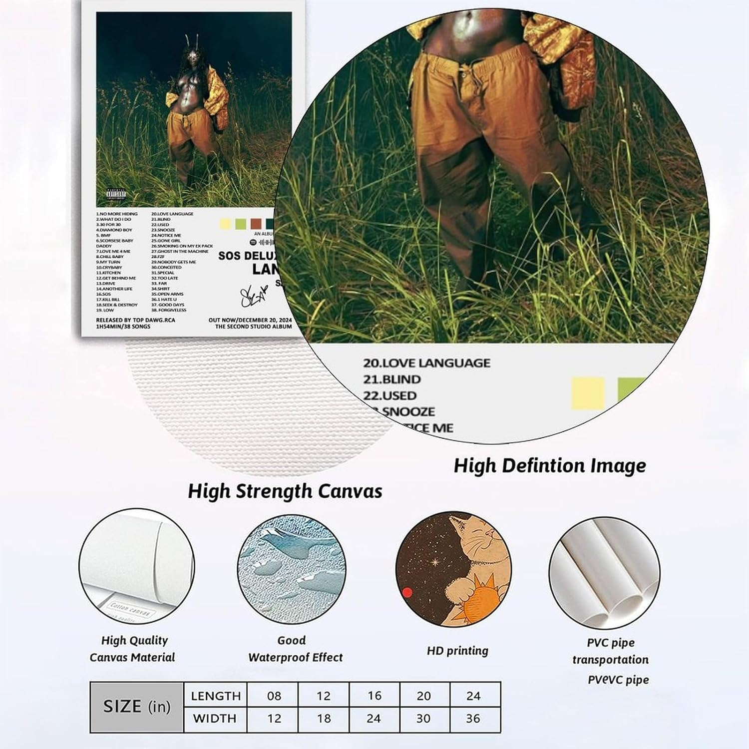 Wall Art Music Sza Album Poster Poster a Set of 2 Canvas Posters Room Aesthetic Festival Gift Family Bedroom Decor Wall Art Home12X18Inch(30X45Cm) Style image number 1