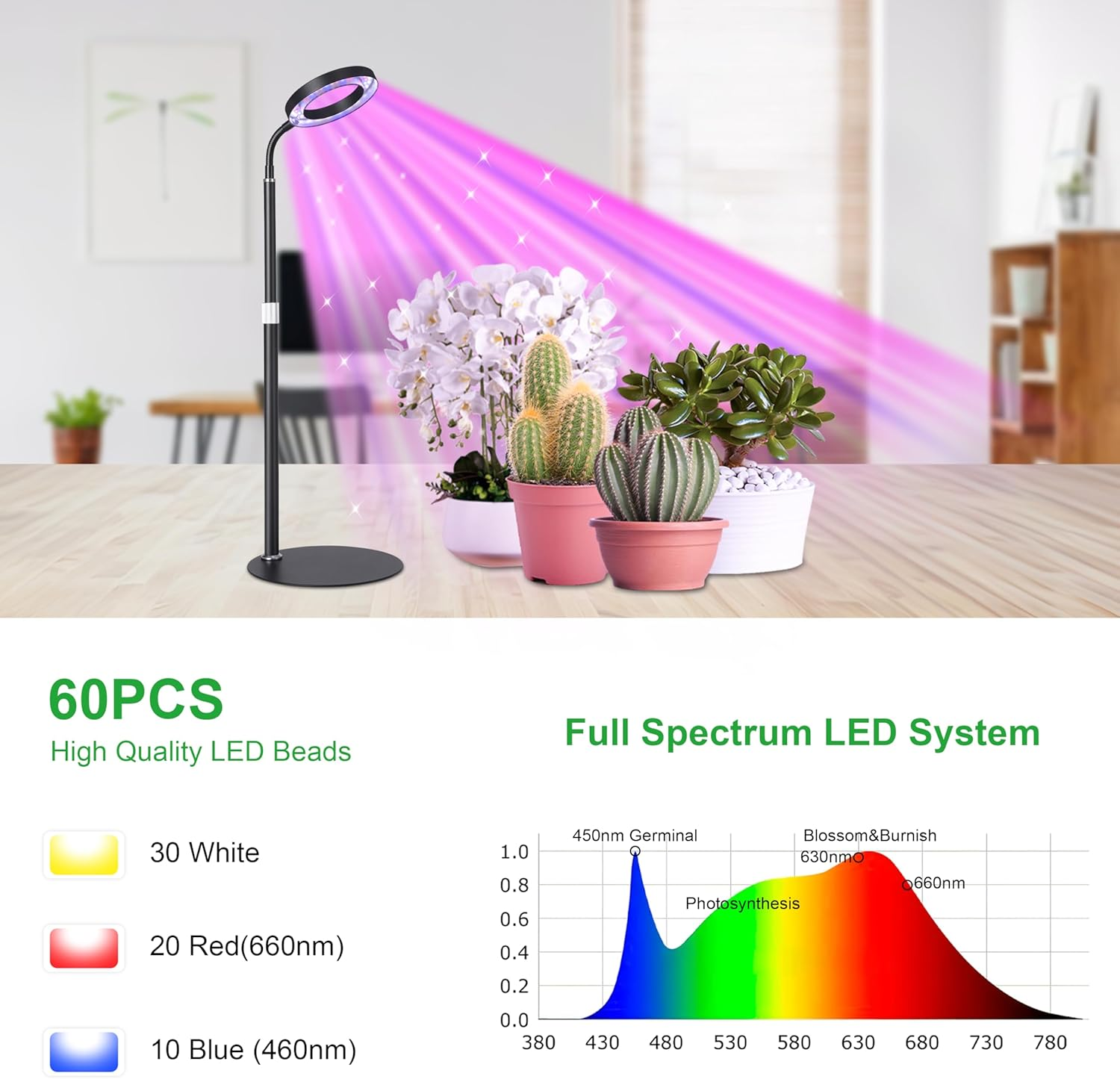Black Desk Grow Light for Indoor Plants, Full Spectrum Red Blue White Light Plant Light with Base, Grow Lamps with 3/9/12H Timer, 13"-23.5" Height Adjustable, 10 Brightness Levels - Black image number 4