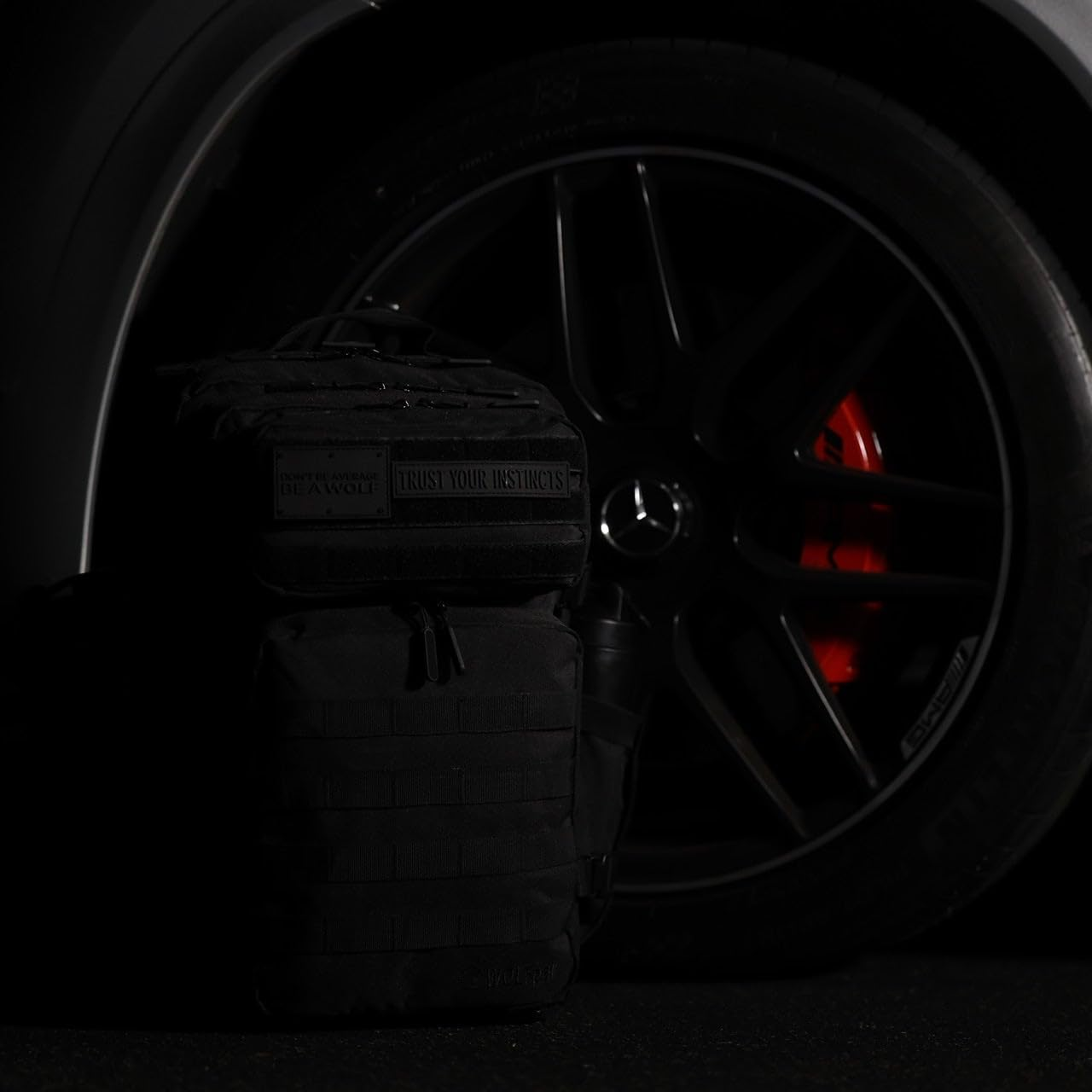 Wolfpak 45L Backpack image number 4