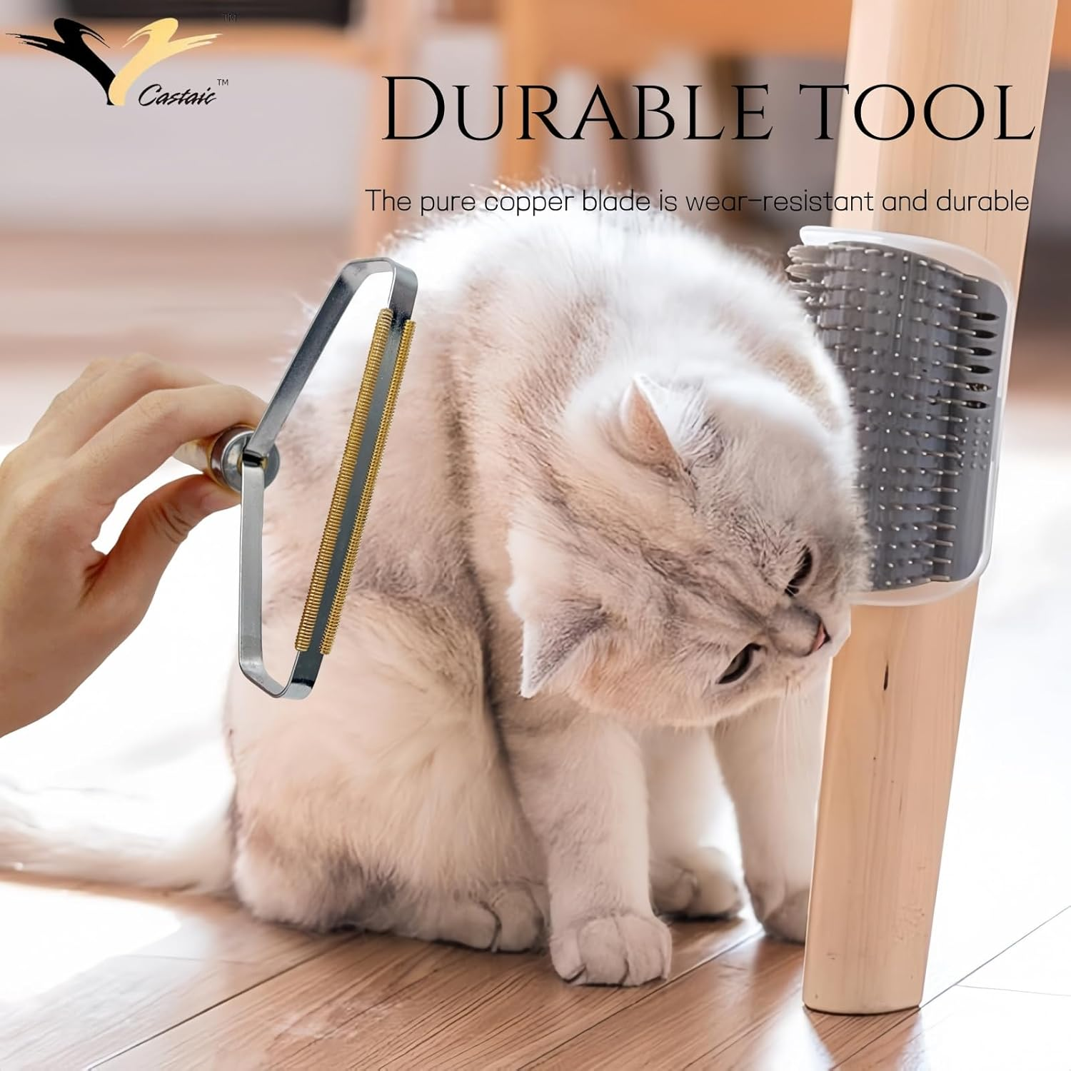 Castaic Pet Hair Remover, Fur Removal Tool, Portable Carpet Scraper, Efficiently Removes Dog Hair & Cat Hair Dust in Carpets and Furniture