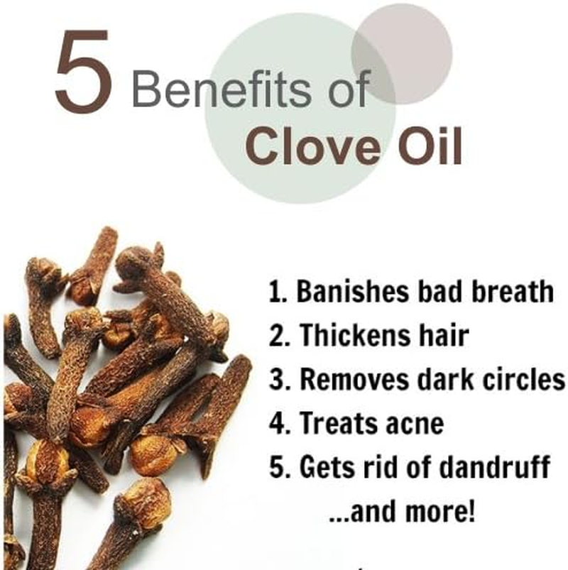 Salvia Clove Oil - 100 Ml / 3.38 Fl Oz | Steam-Distilled Oil for Aroma, DIY Blends & Home Use image number 4